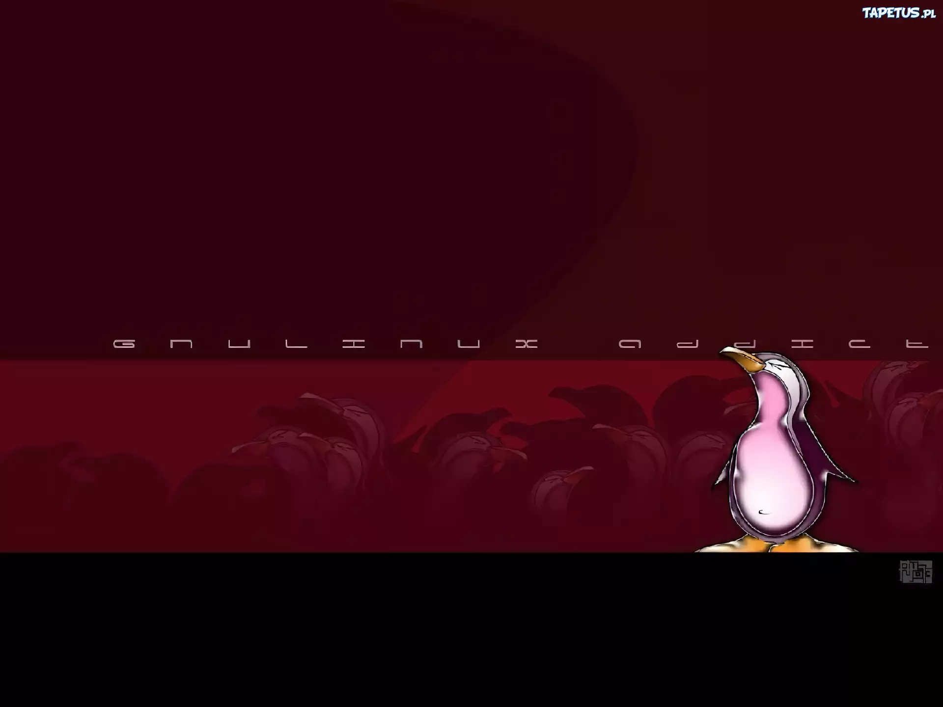 Linux, grafika, pingwin