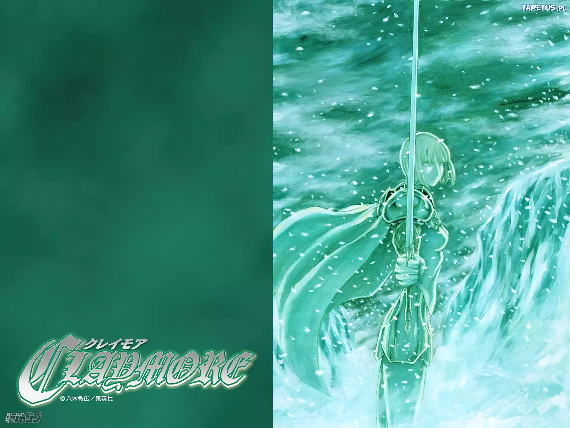 Claymore, Miecz