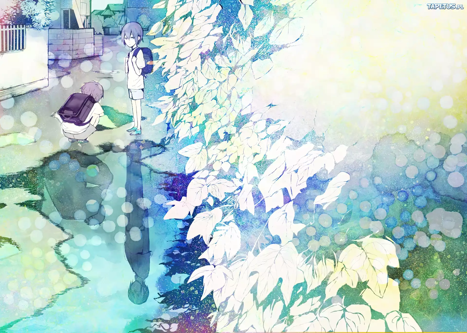 Durarara, Shizuo, Kwiaty, Manga
