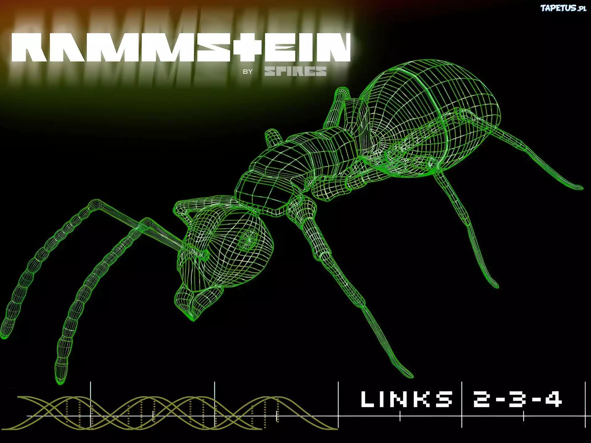 Rammstein,mrówka