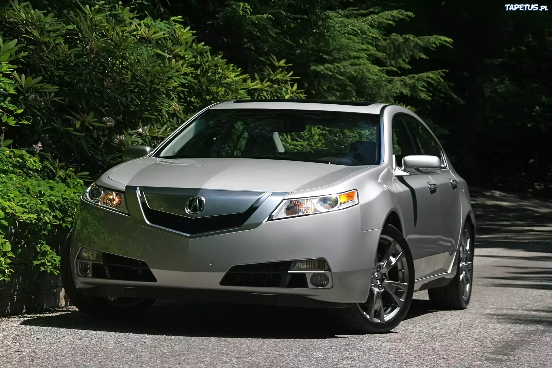 Przód, Acura TL, Polerowane, Alufelgi