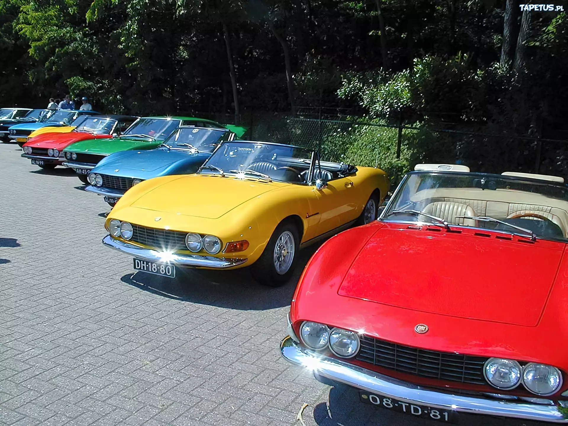Zlot, Miłośników, Fiat Dino