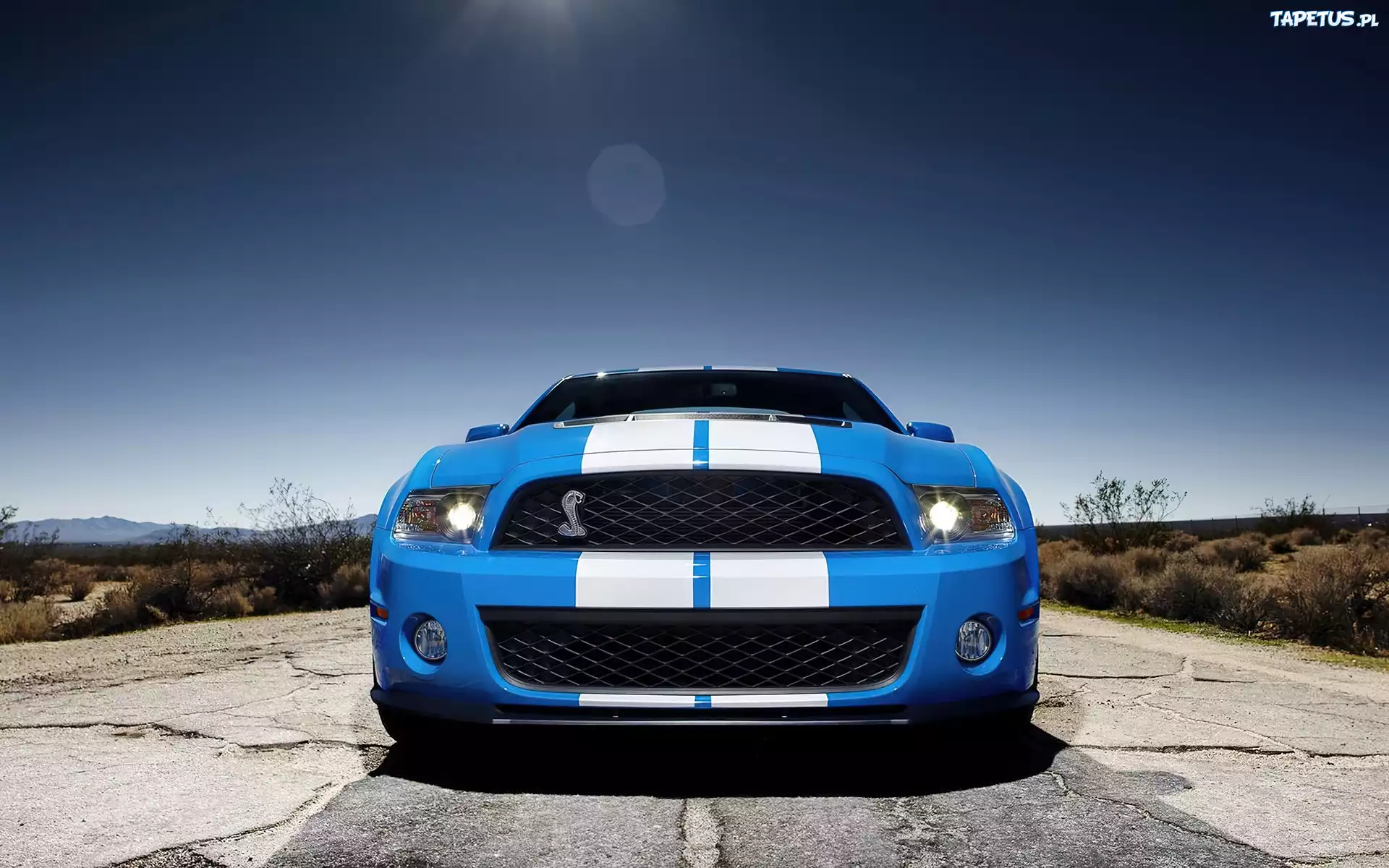 Shelby, Ford Mustang