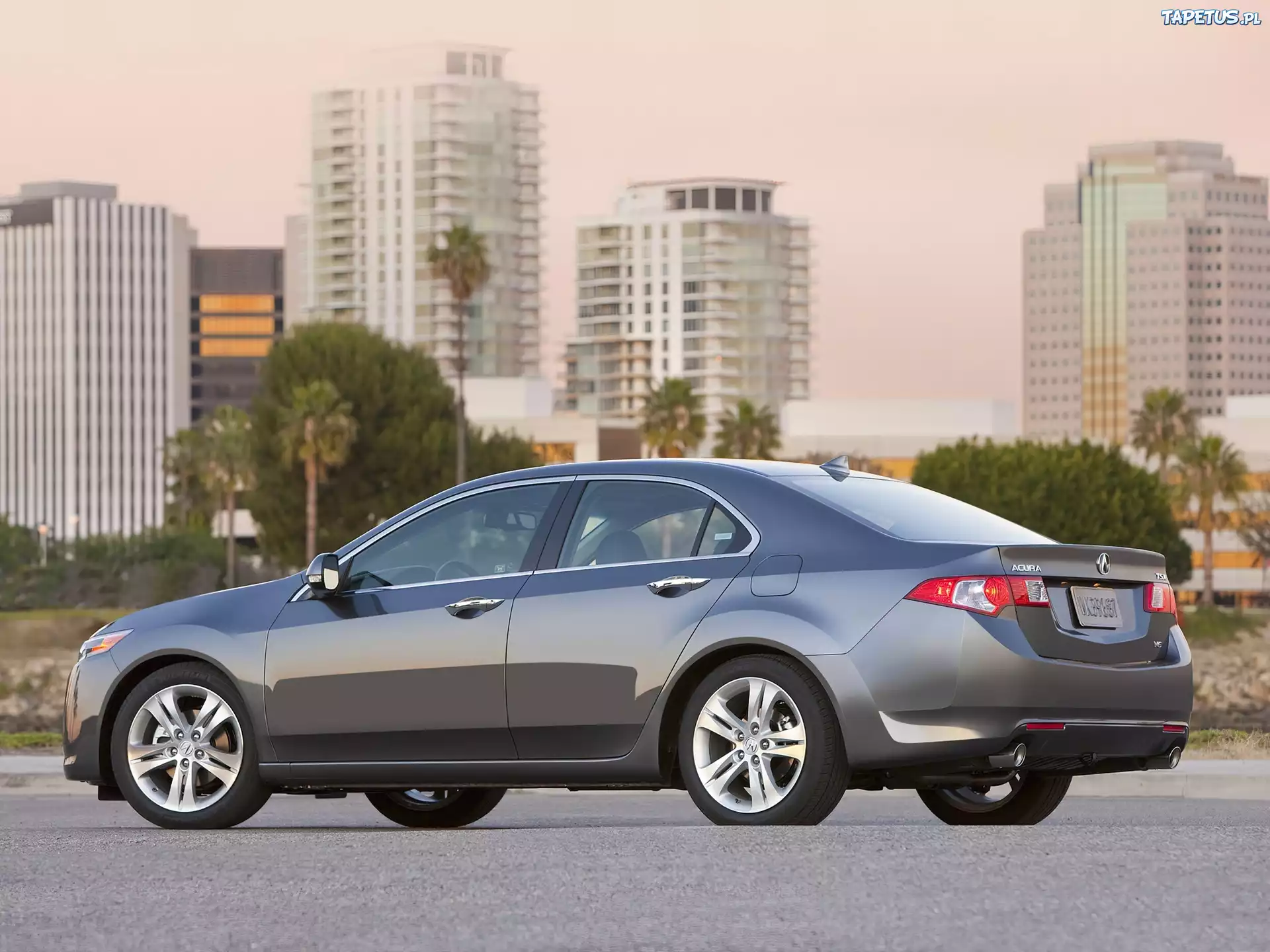 Acura TSX, Klamki, Chrom