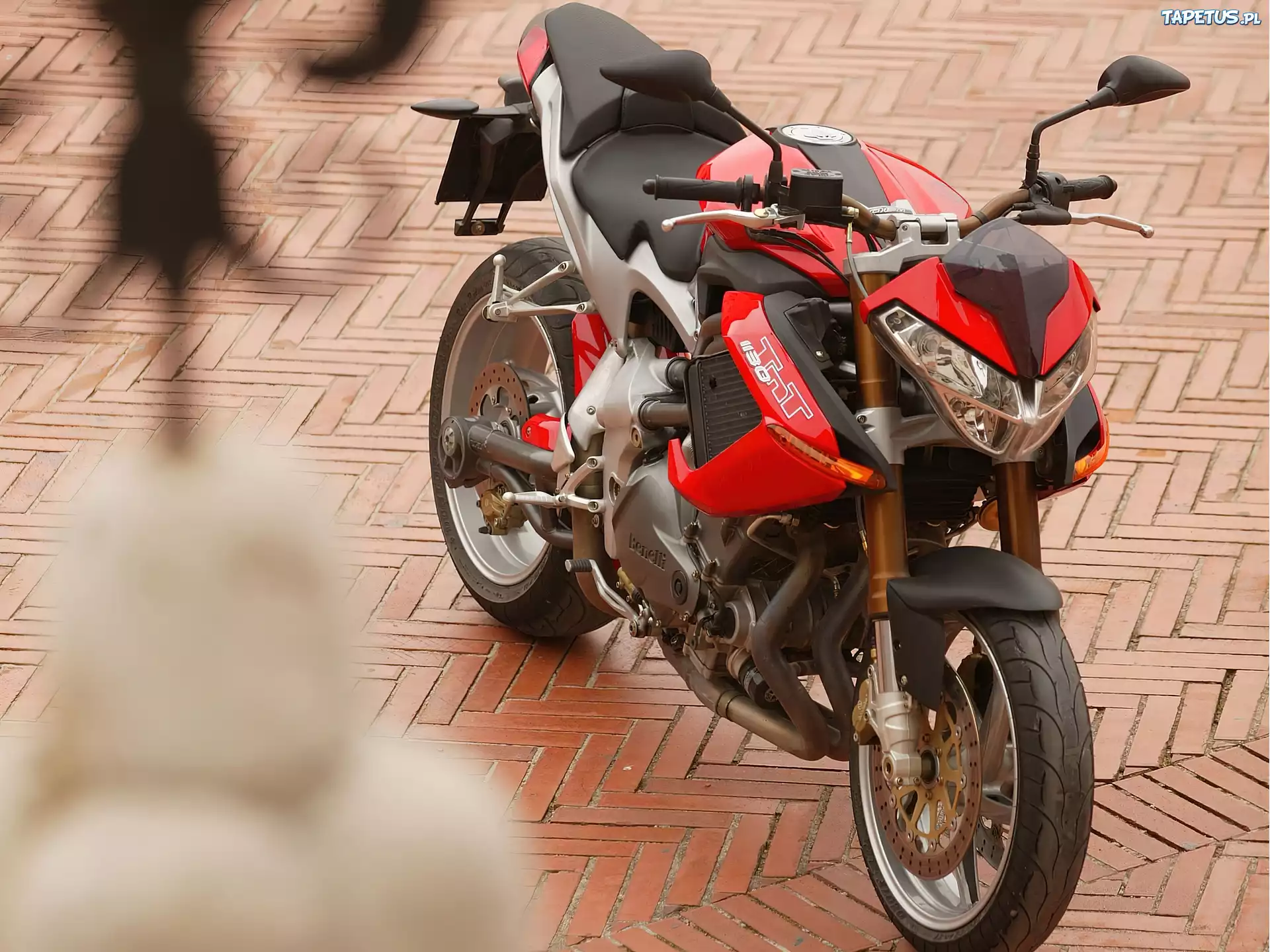Benelli TNT 1130, Lampa, Przednia