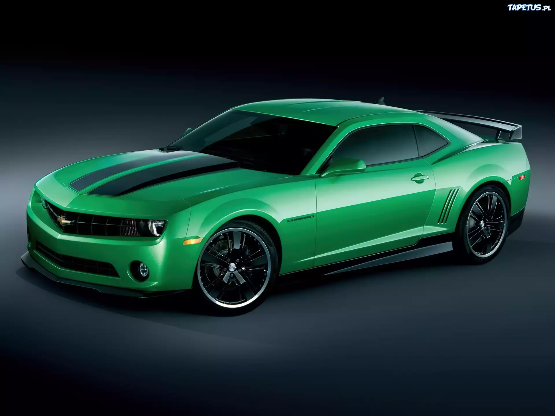 Chevrolet Camaro, Czarne, Pasy
