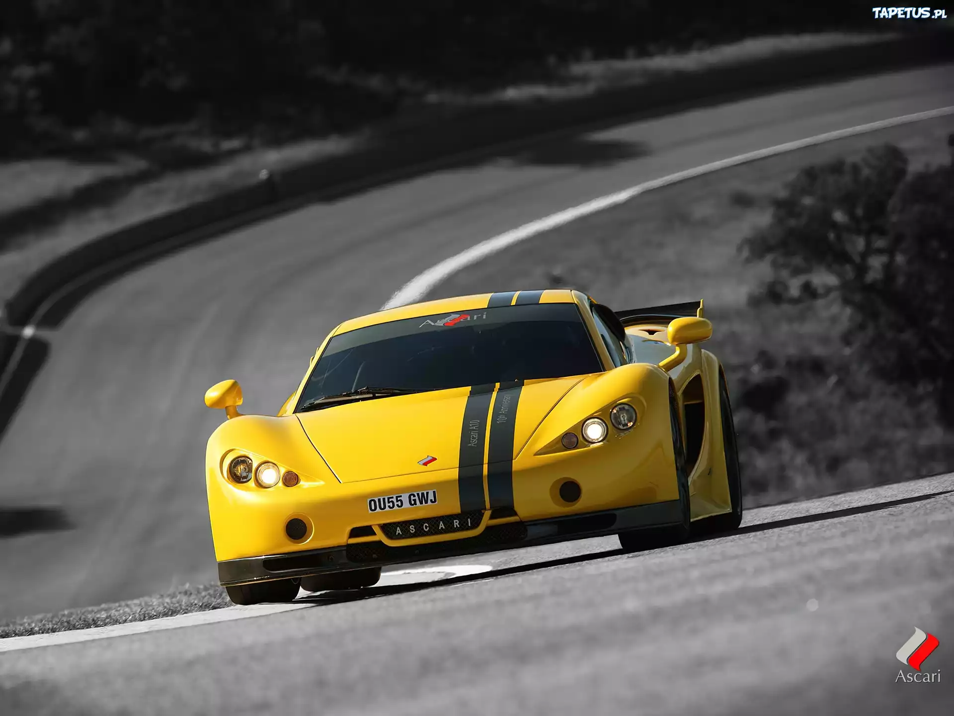 Ascari A10
