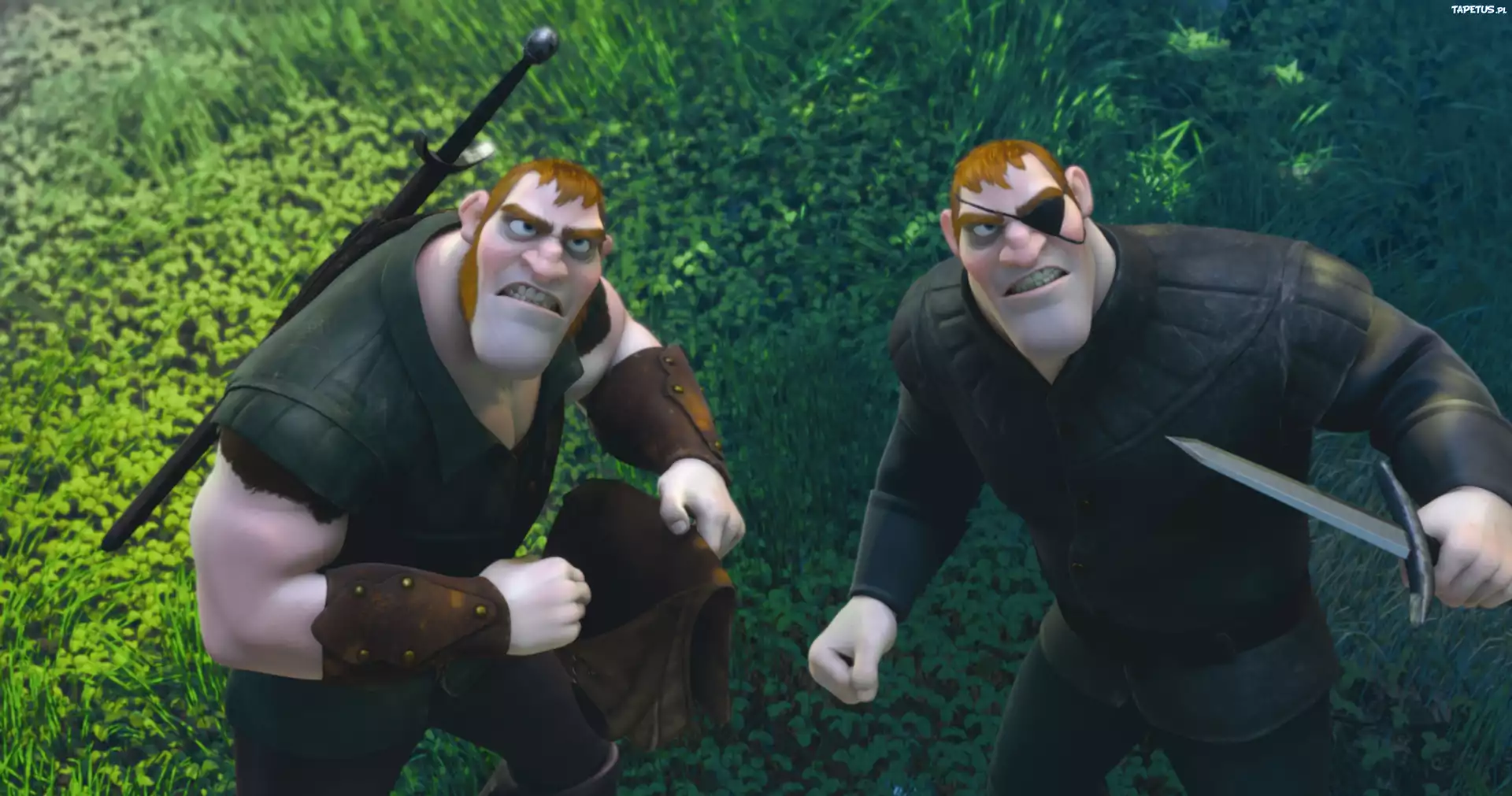 Film, Animowany, Zaplatani