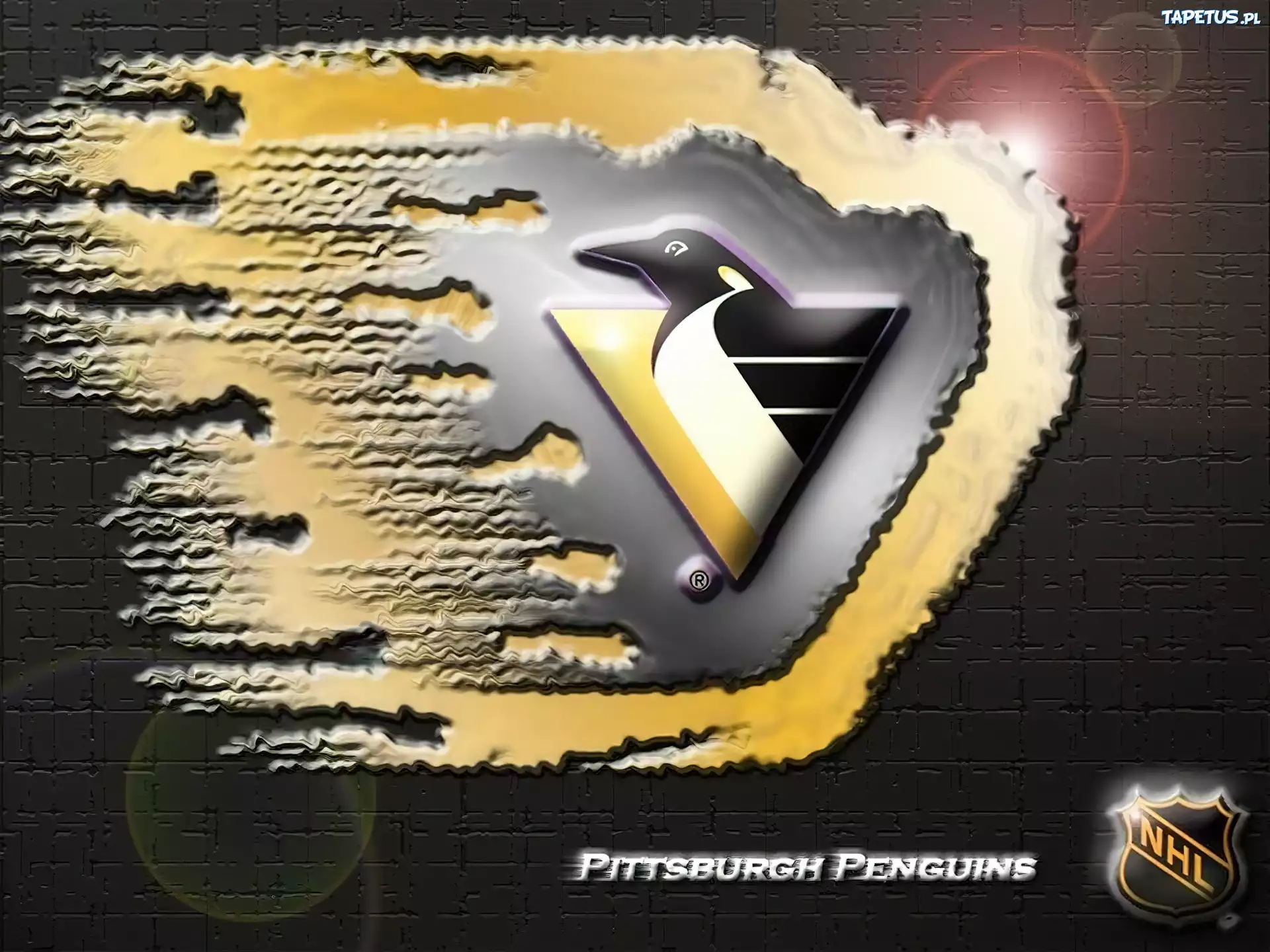 Logo, Drużyny, NHL, Pittsburgh Penguins