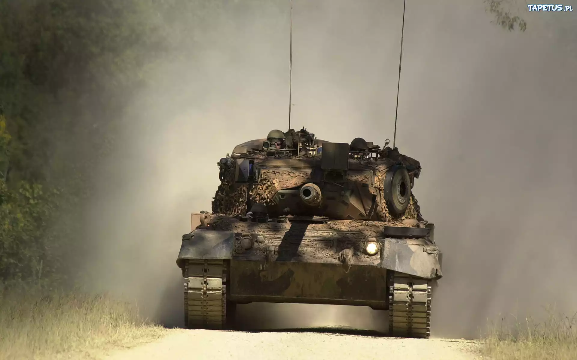 Leopard AS1