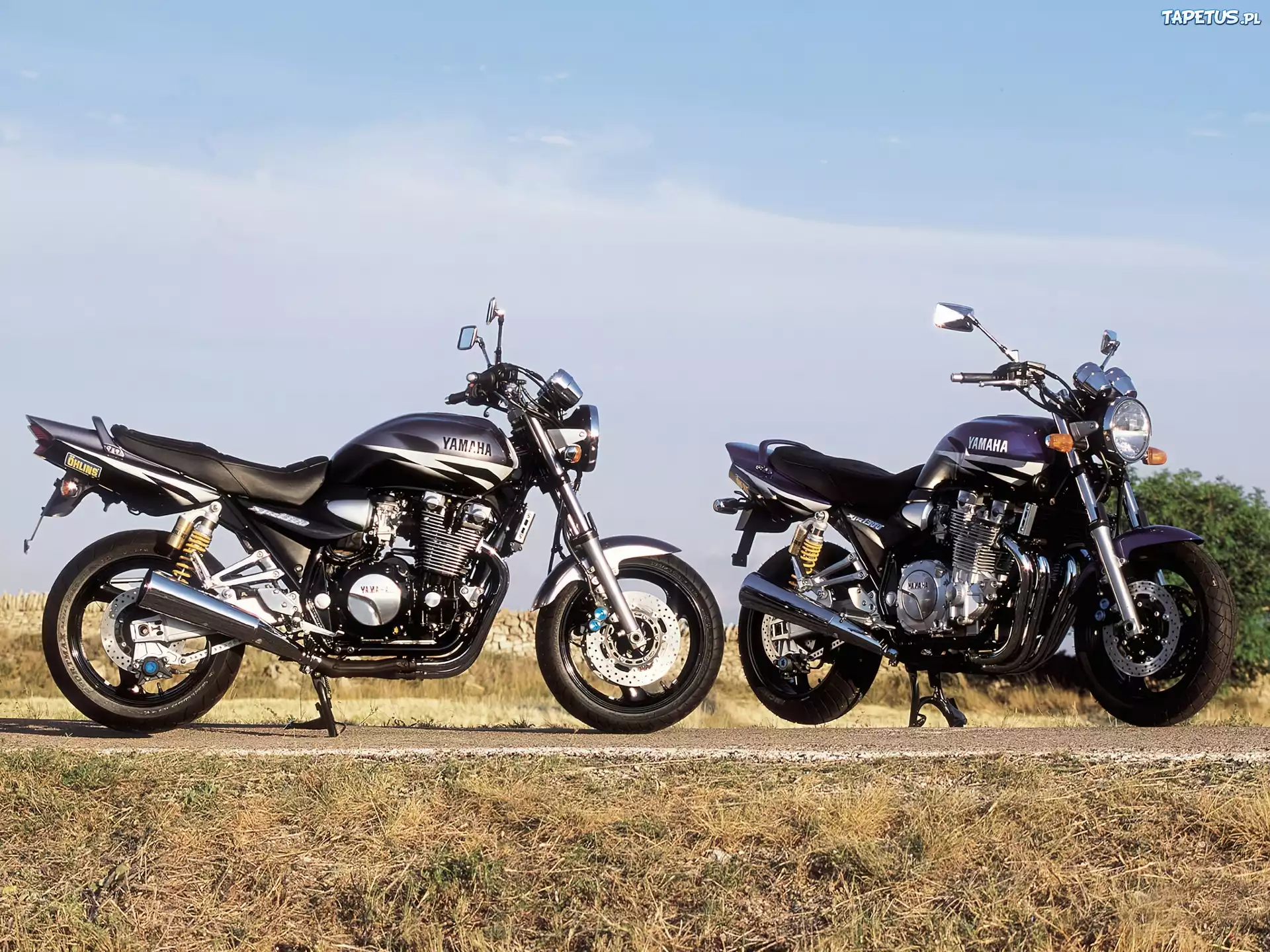 Yamaha XJR1300, Stopka, Centralna