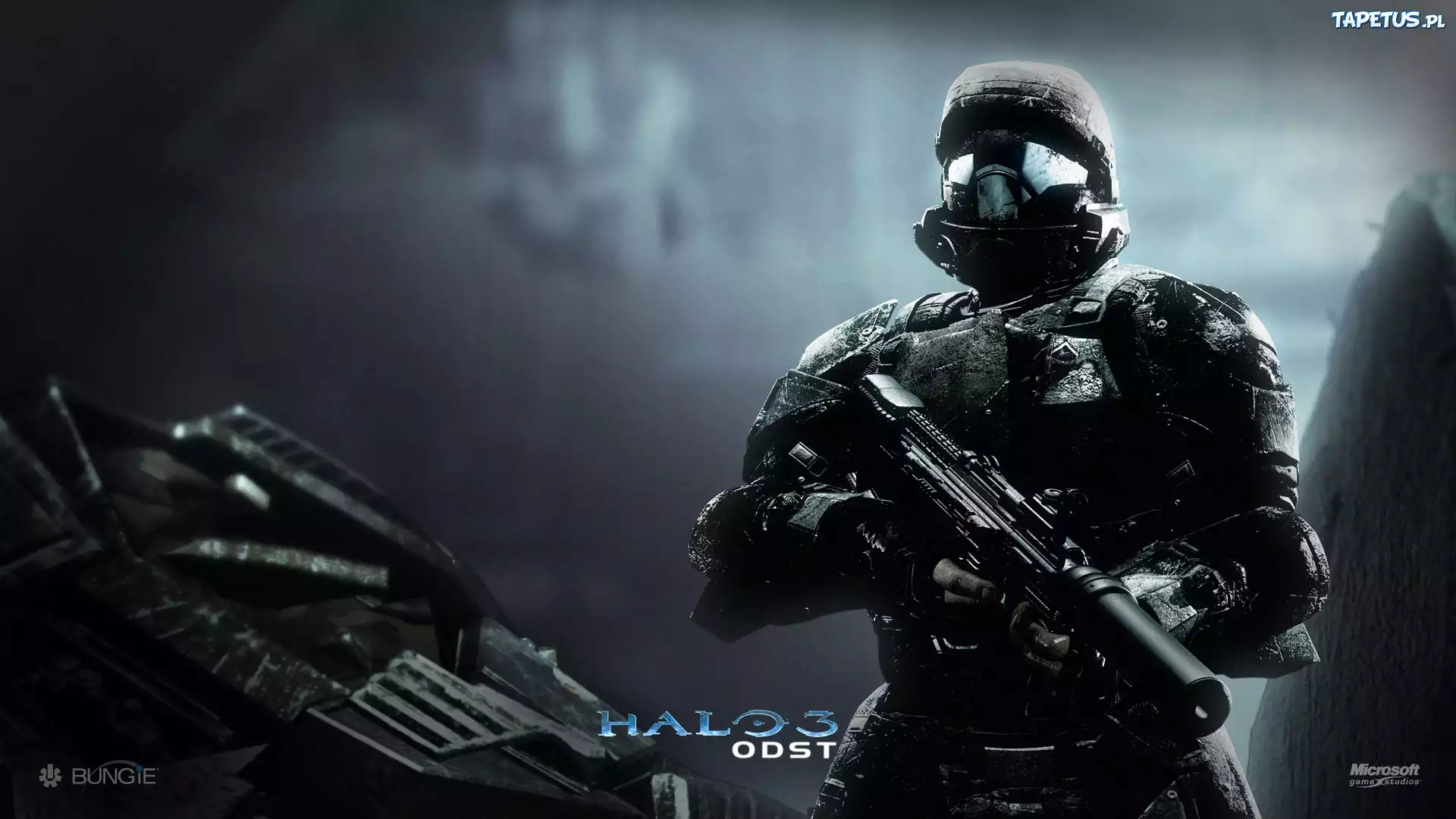 Halo, Karabin