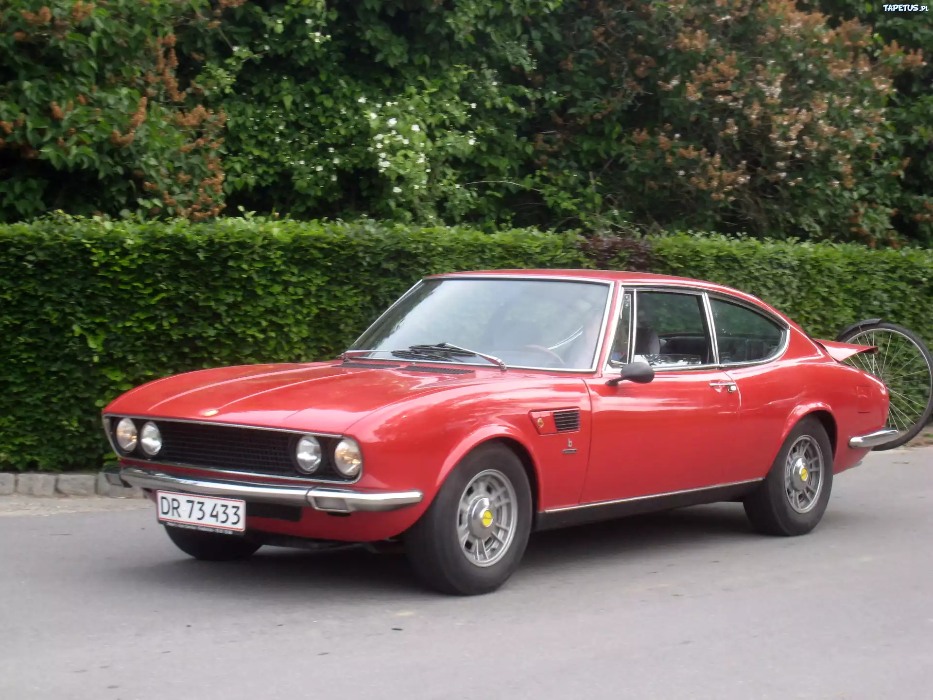 Czerwone, Fiat Dino, Rower, Bagażnik
