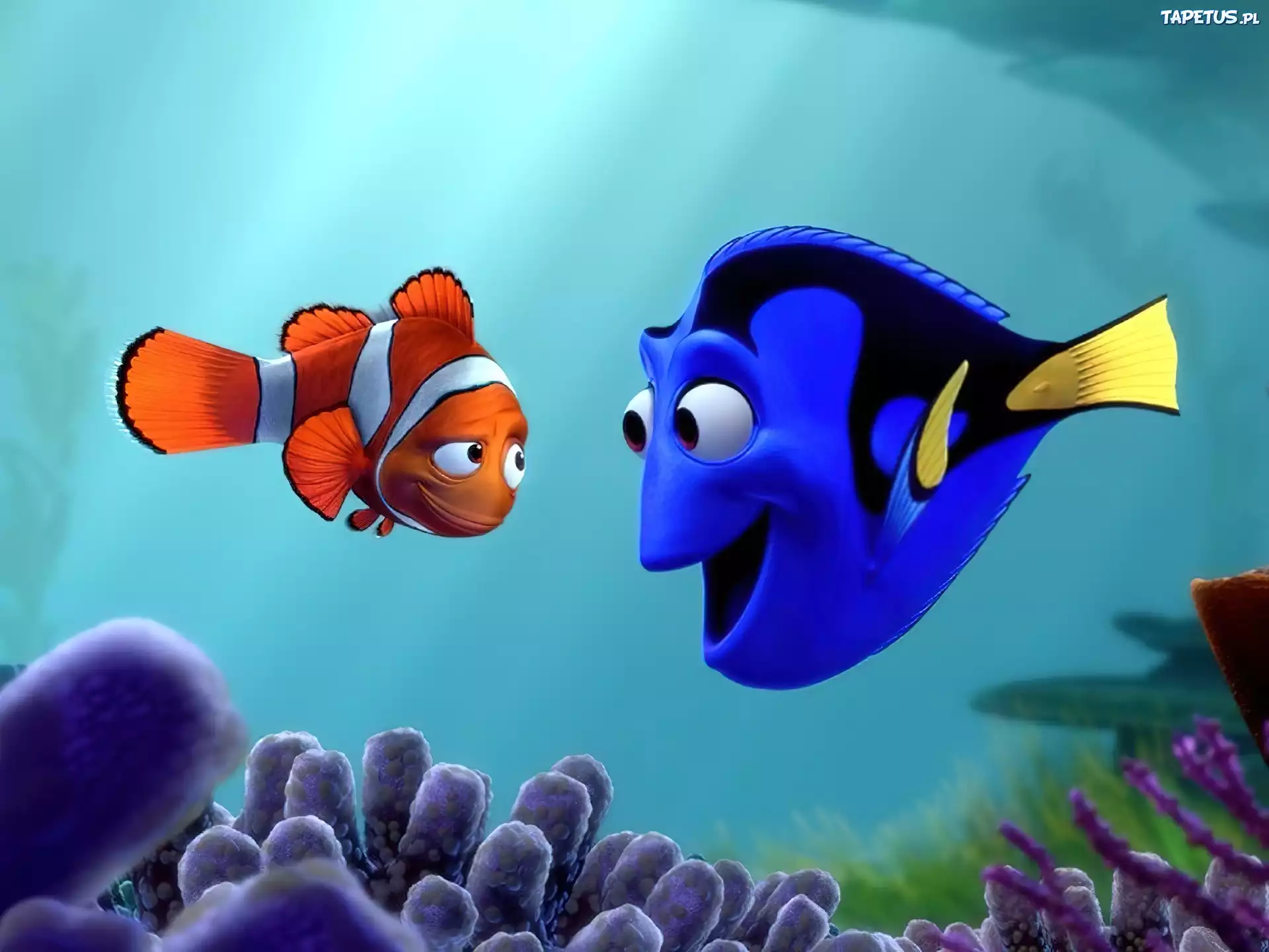 Nemo, Dory