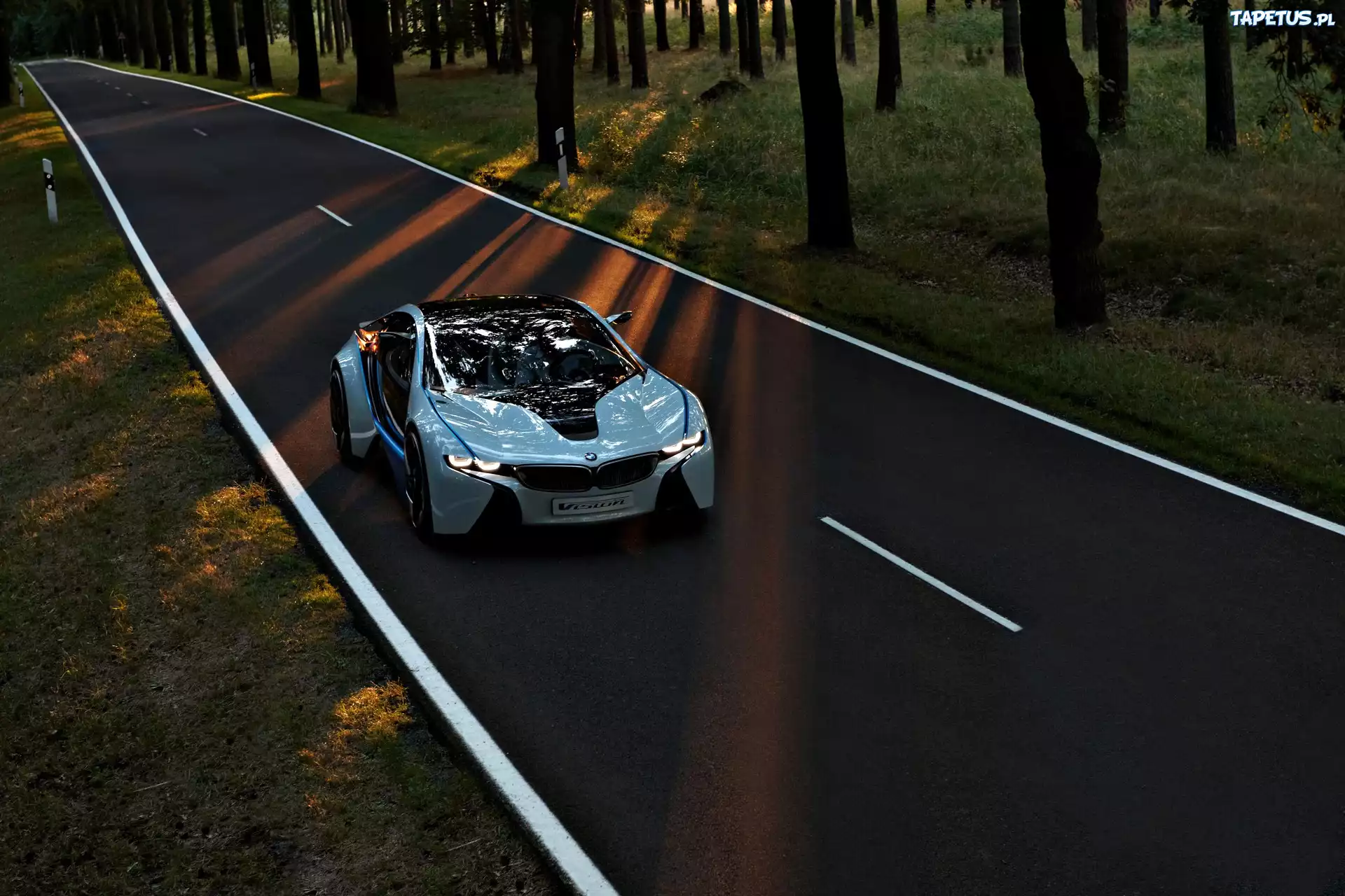 BMW Vision, Reflektory