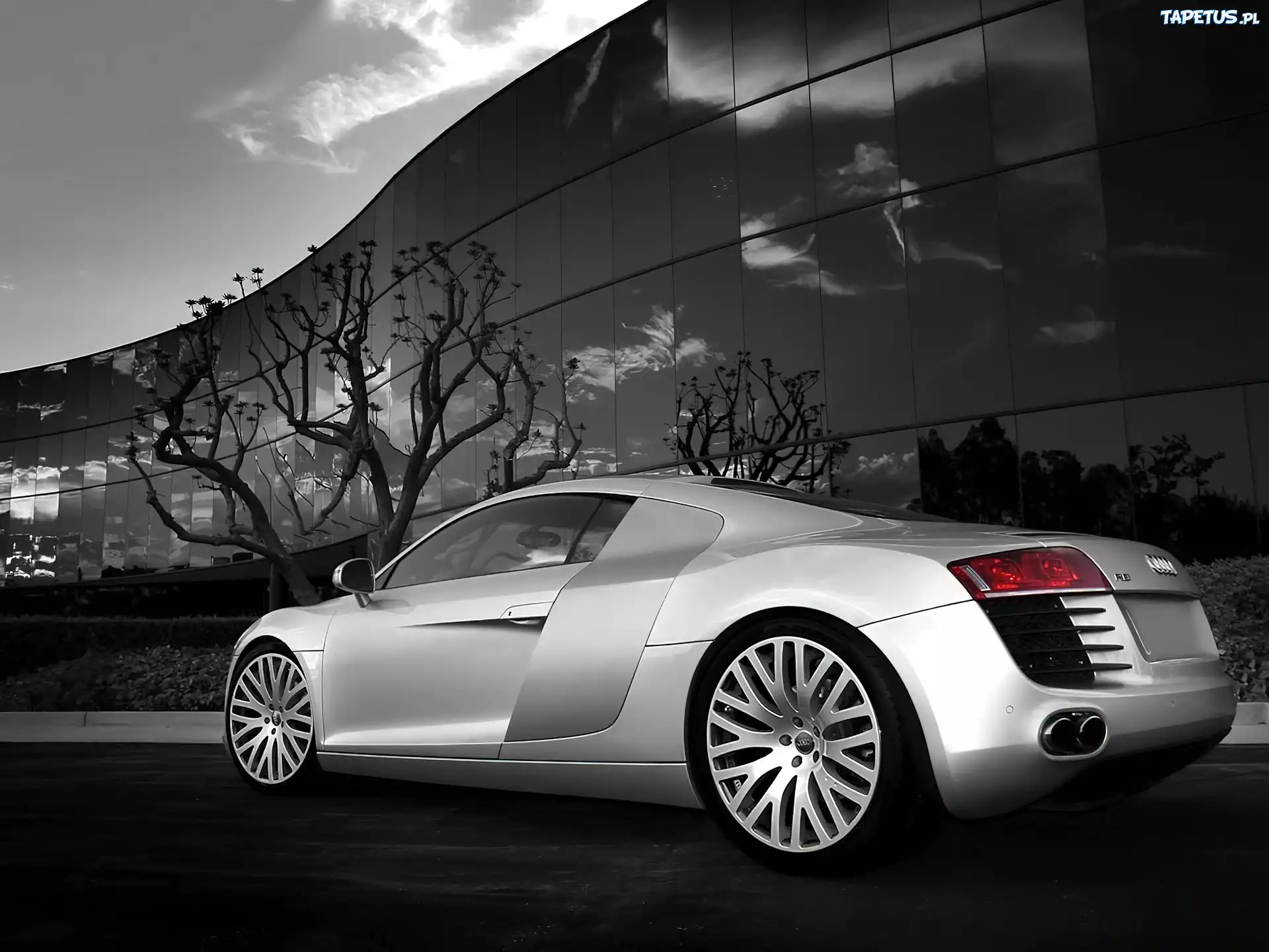 Lewy, Tył, Audi R8