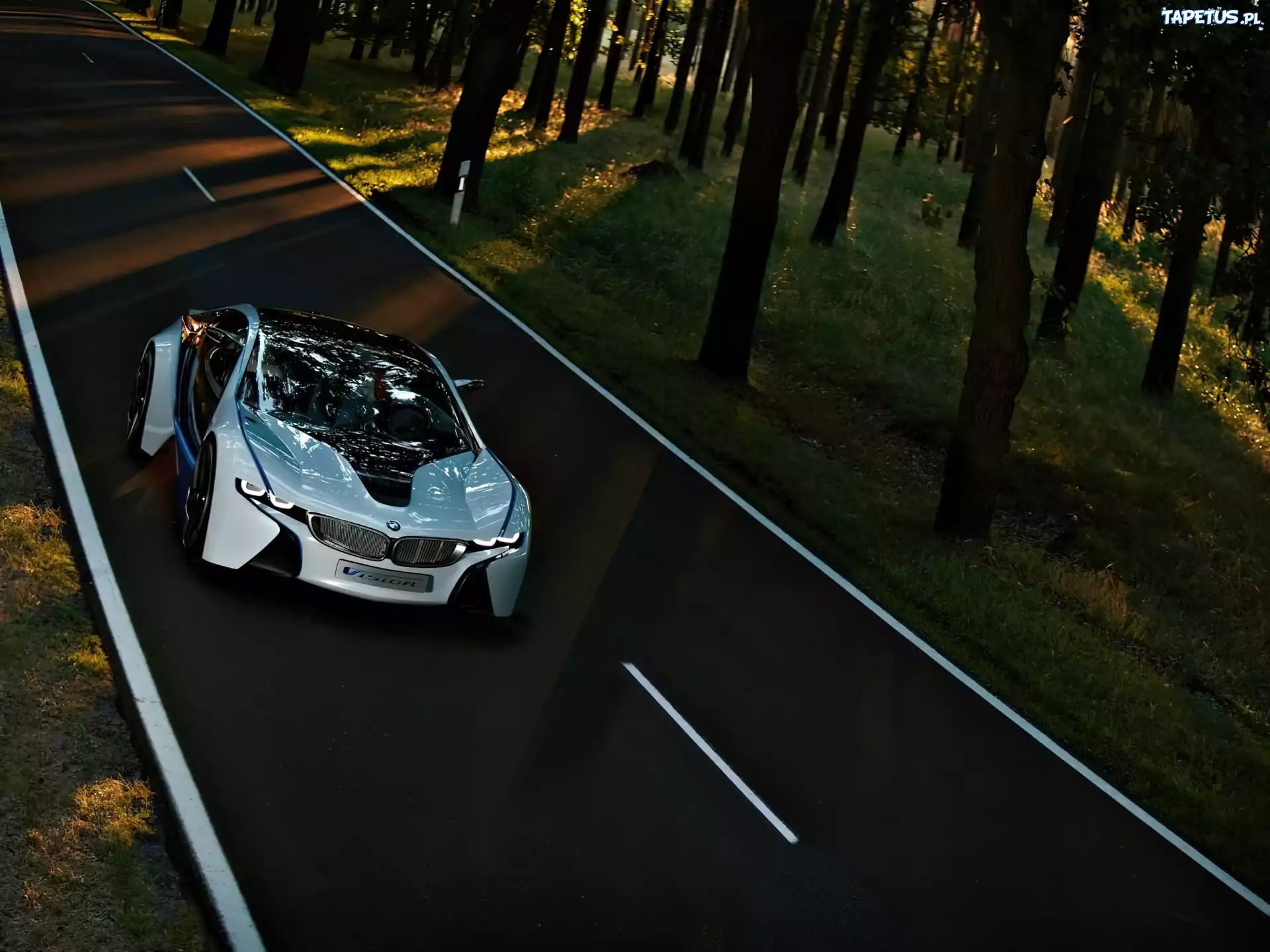 BMW Vision, Przestrzeń, Przeszklona