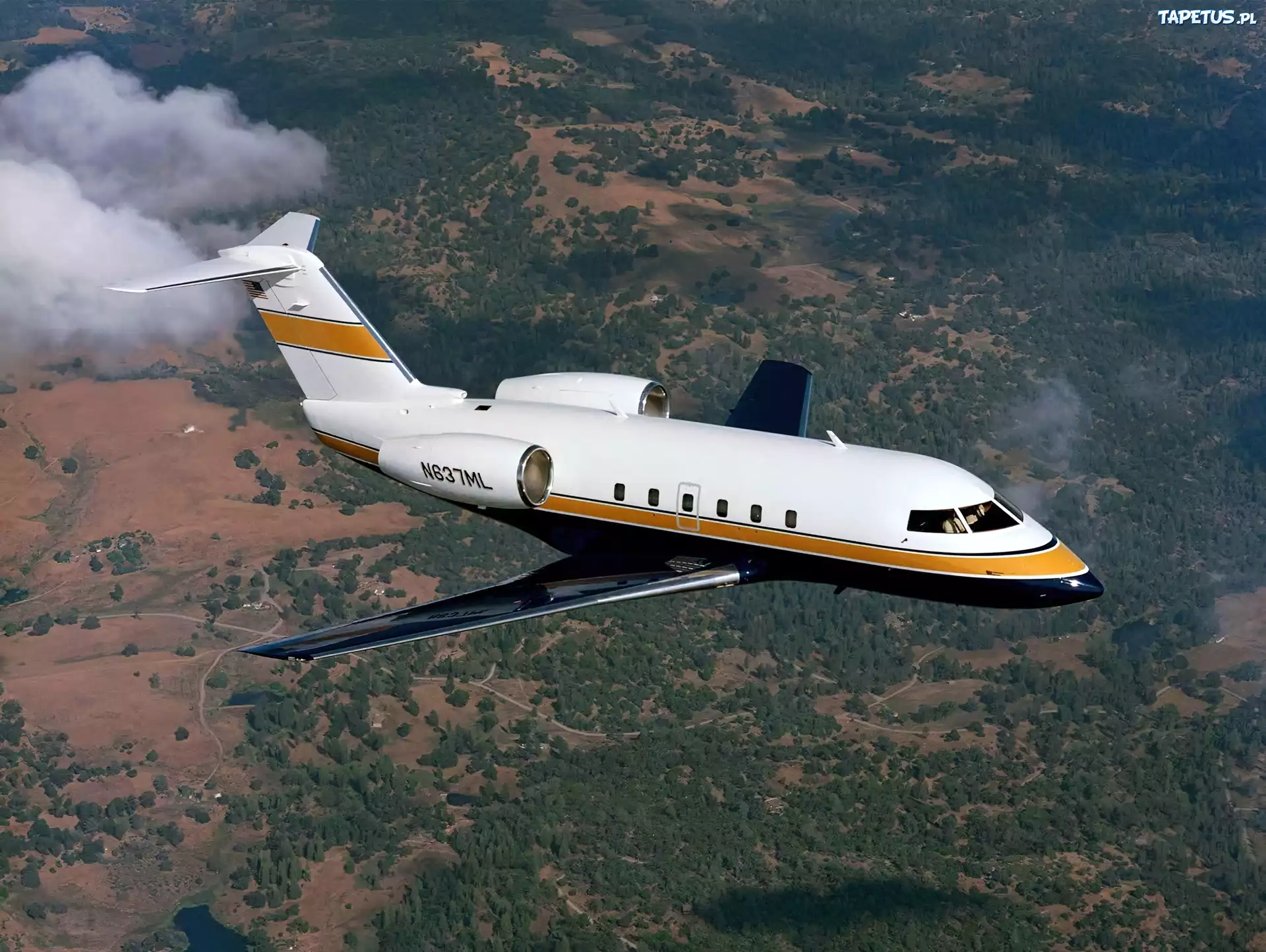 Bombardier, Challenger, 600, Panorama