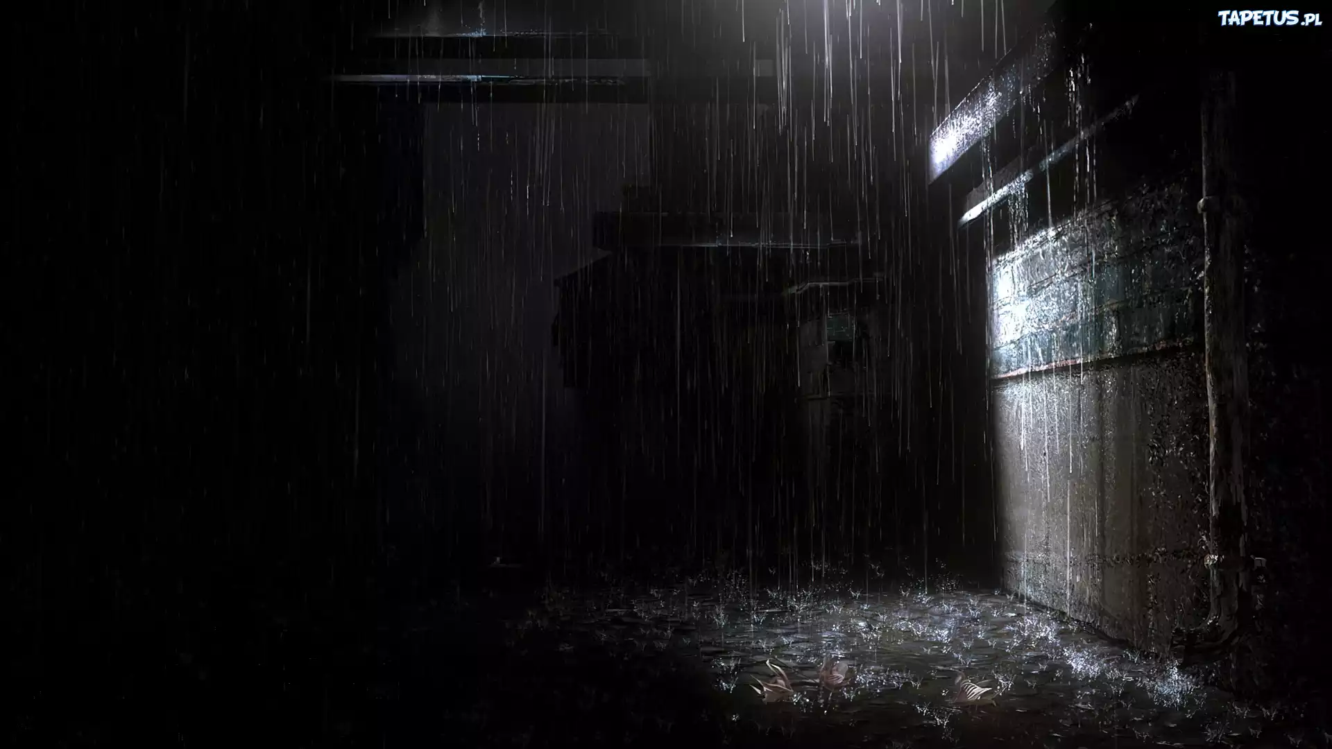 Gra, Screen, Heavy Rain