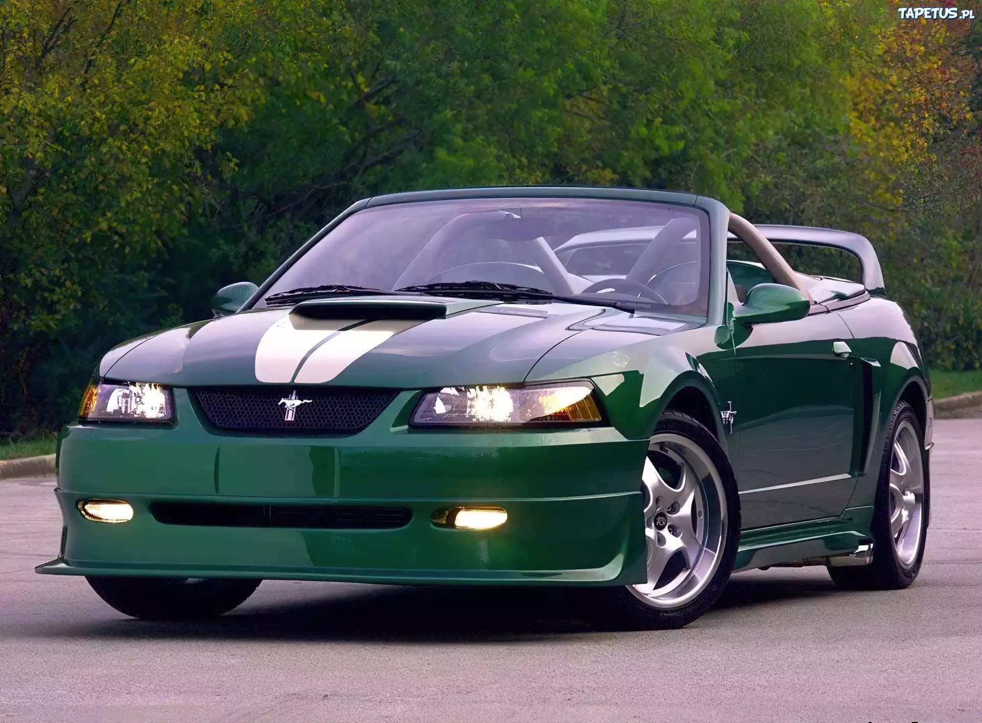 Ford Mustang, Kabriolet, Tuning