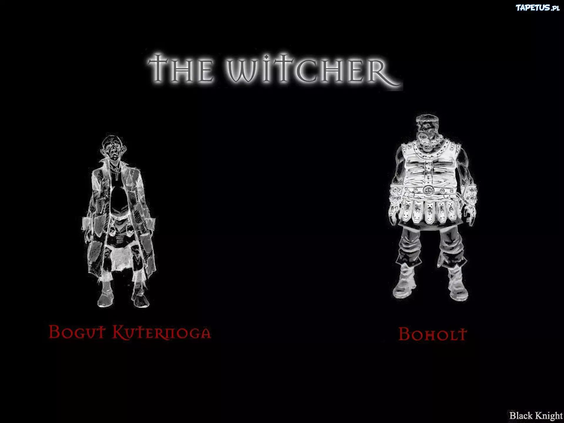 The Witcher, szkic, postacie