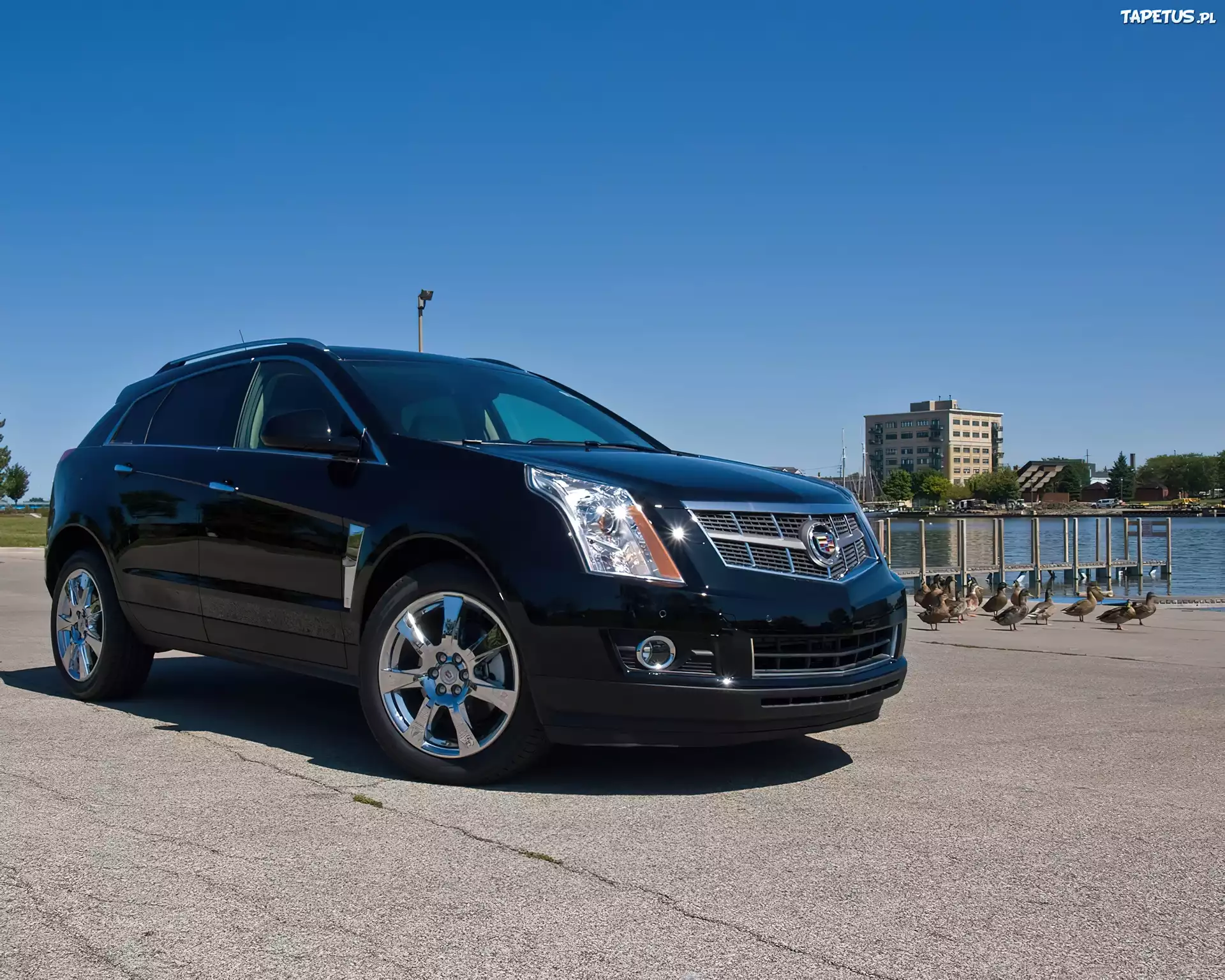 Czarny, Cadillac SRX, Chromowane, Alufelgi