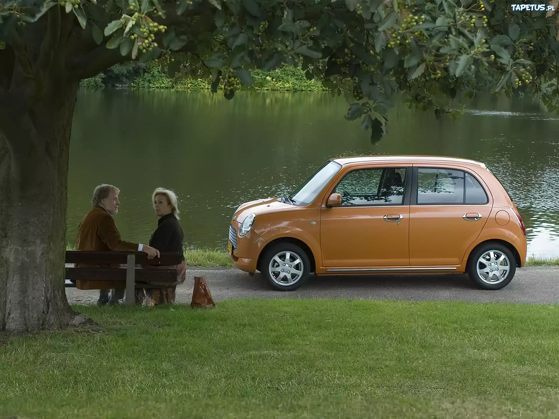 Pomarańczowe, Daihatsu Trevis, Park