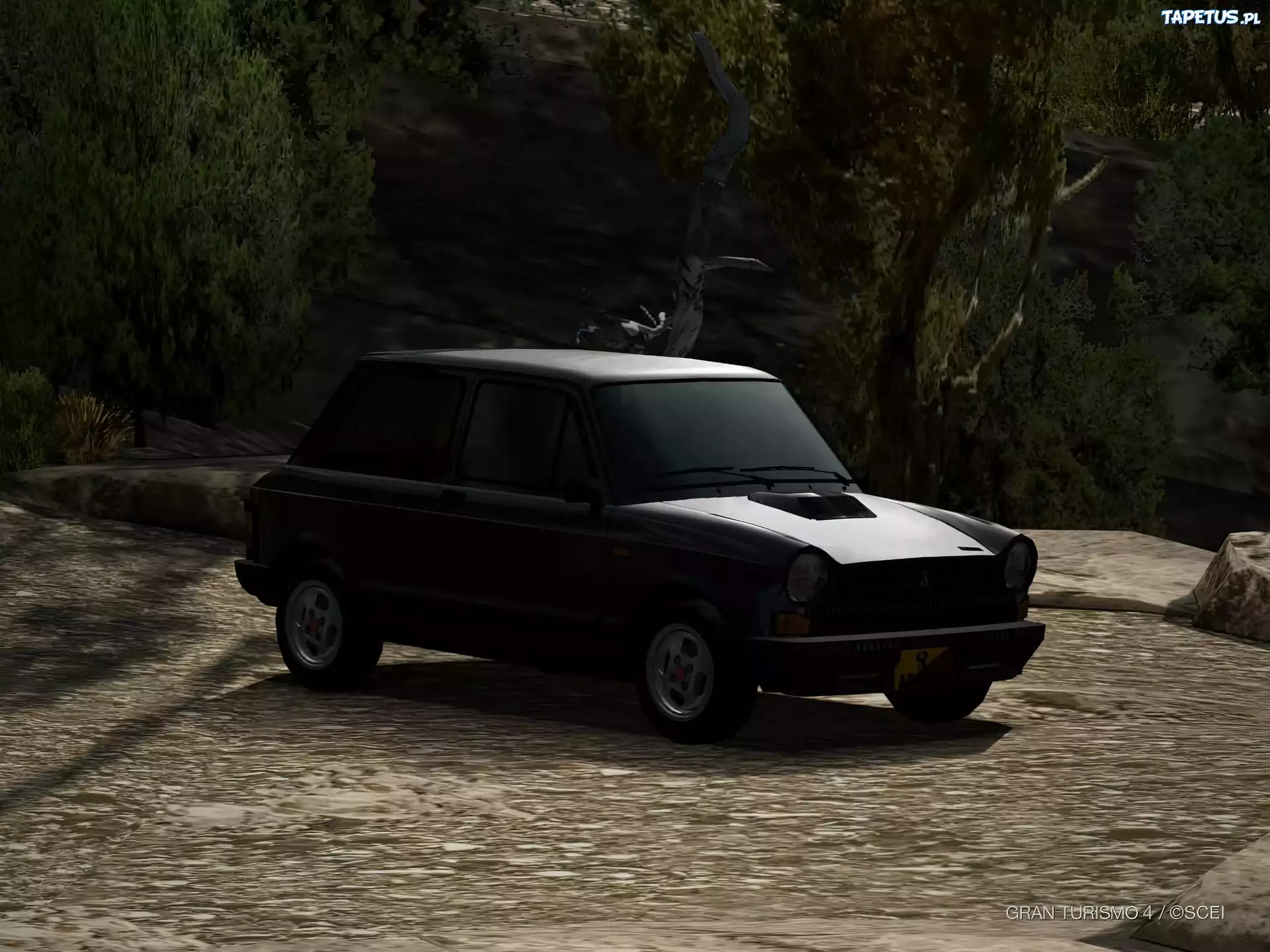 Ciemny, Autobianchi A112, Las, Grafika