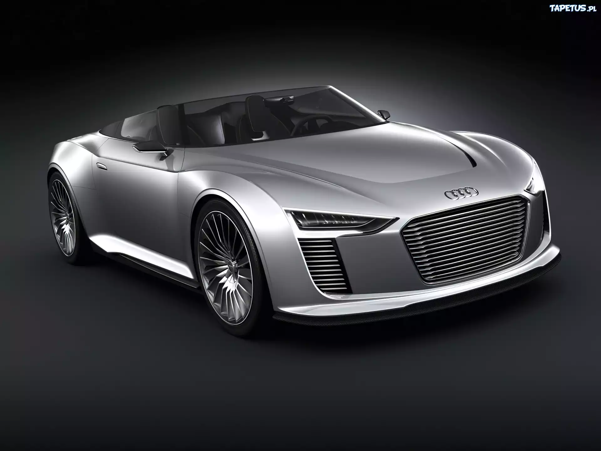 Audi e-Tron, Maska, Atrapa