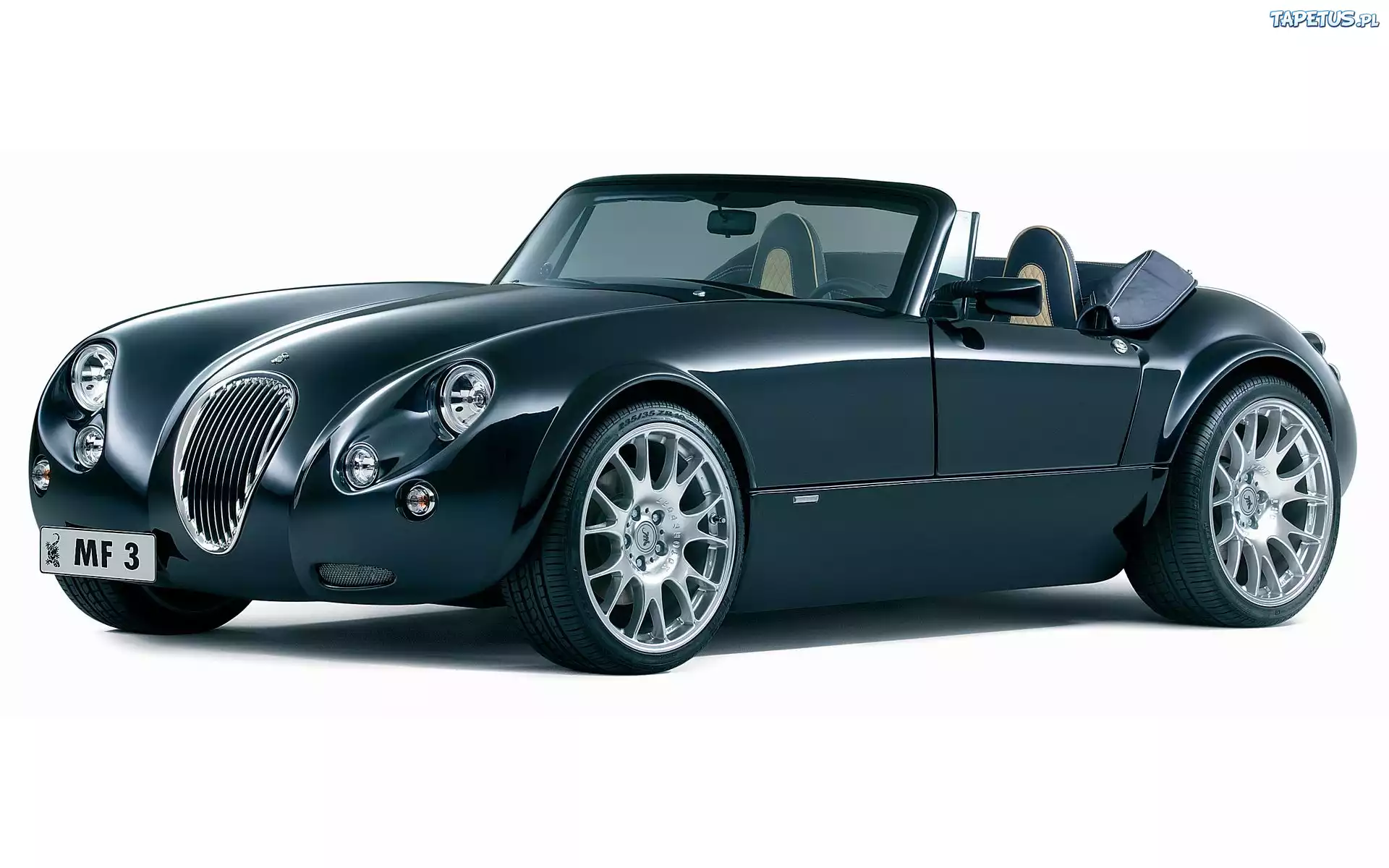 Wiesmann MF3, Halogeny, Lusterka