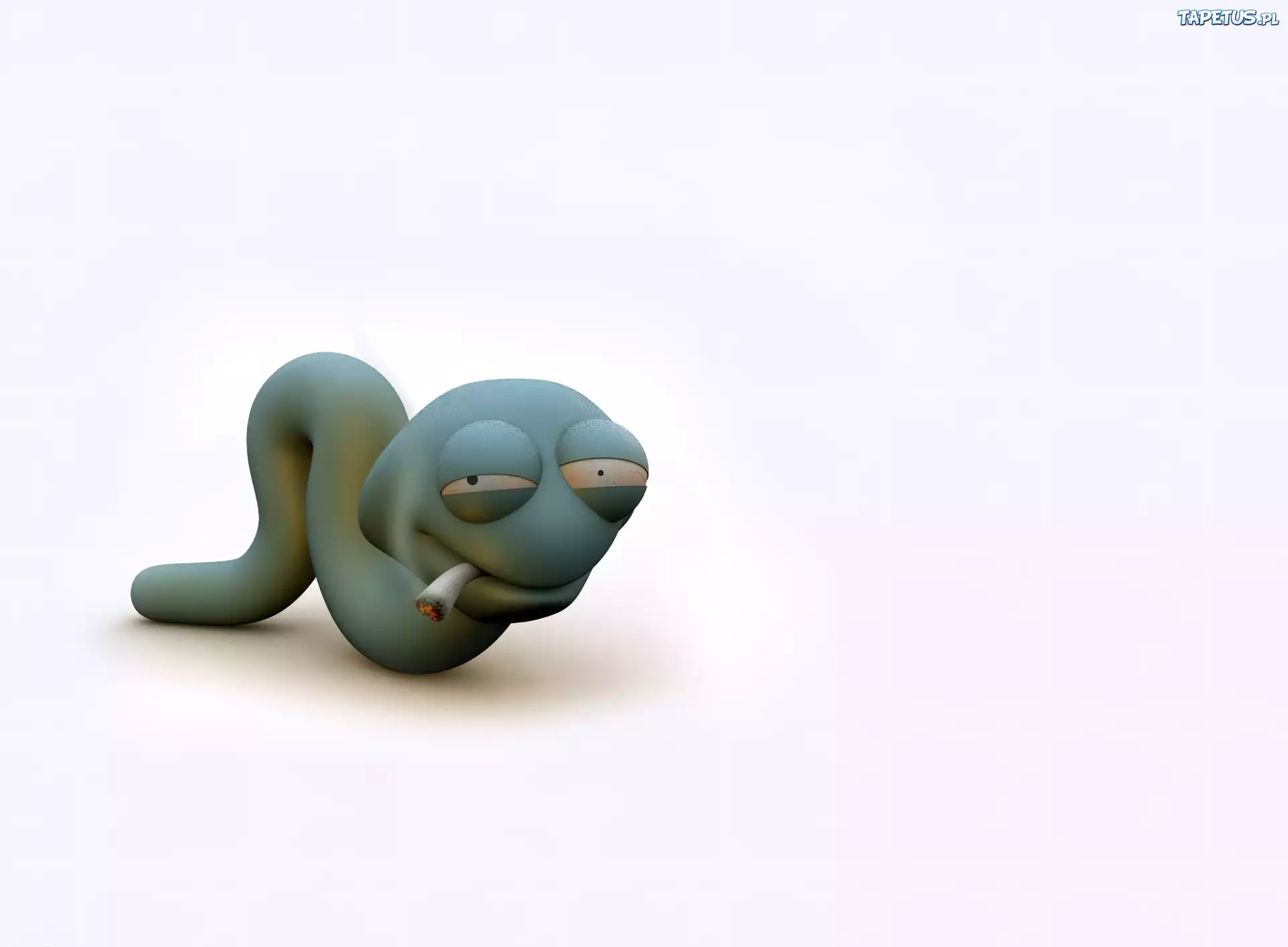 Robak, Papieros, 3D