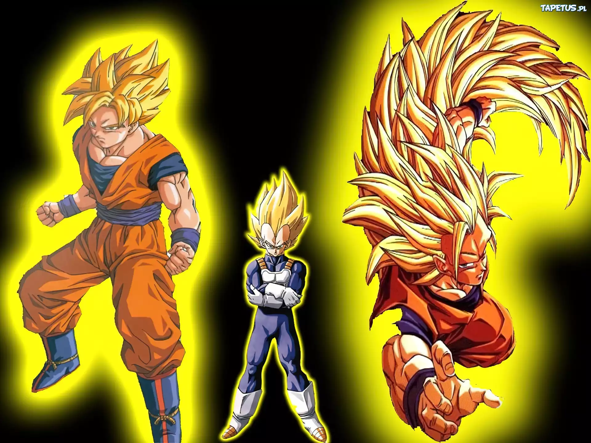 USSJ, SSJ2, SSJ3