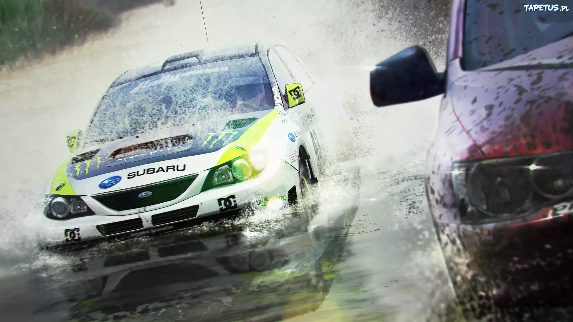 Colin McRae: DiRT 2, Woda