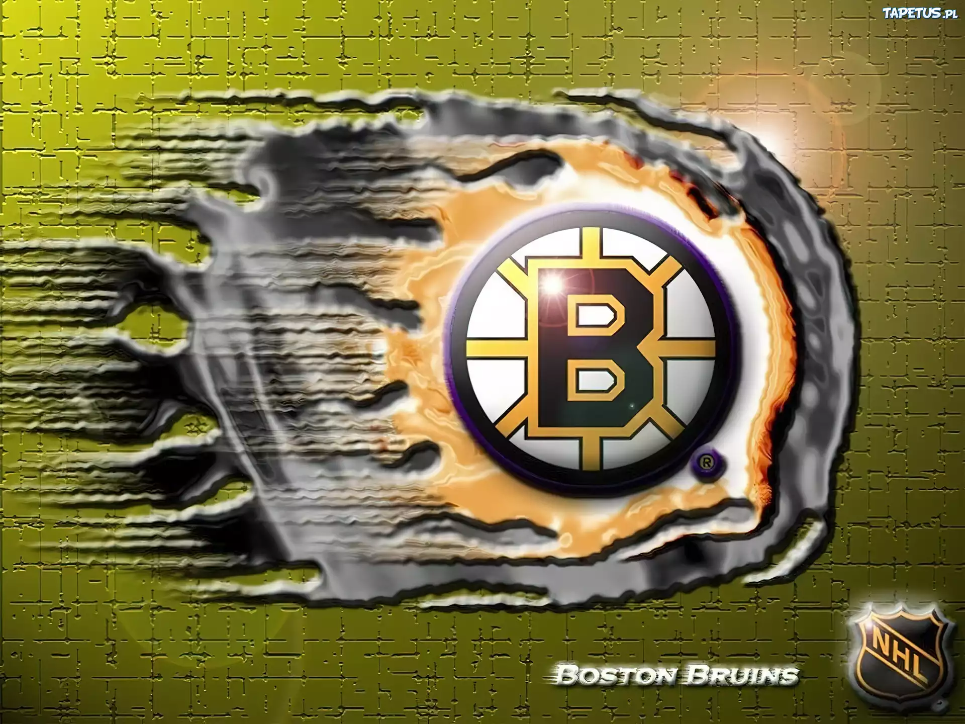 Logo, Drużyny, NHL, Boston Bruins