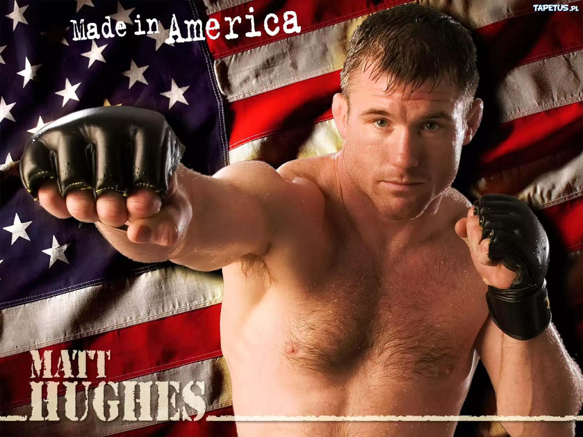 MMA, Matt Hughes