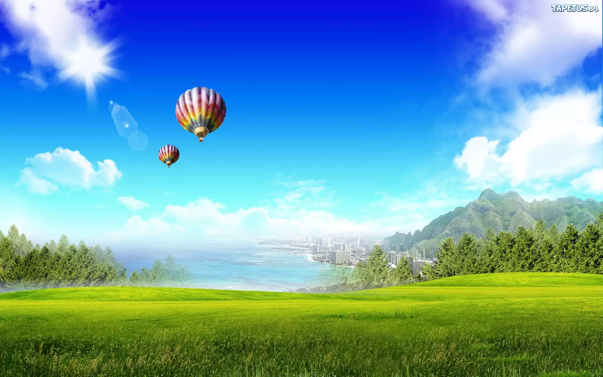 Balony, Zielona, Łąka