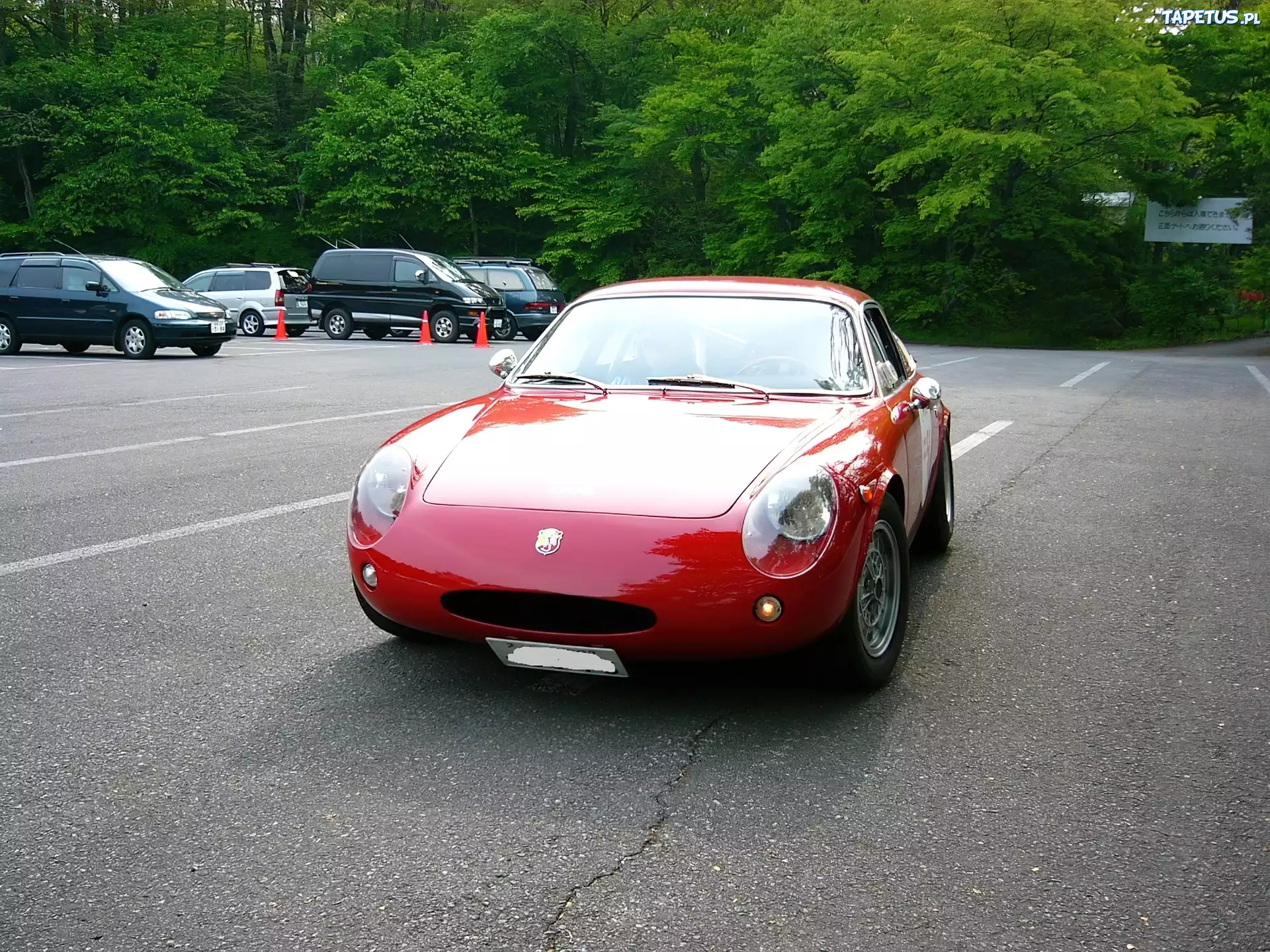 Przód, Abarth 1000 Mono, Wlot, Las