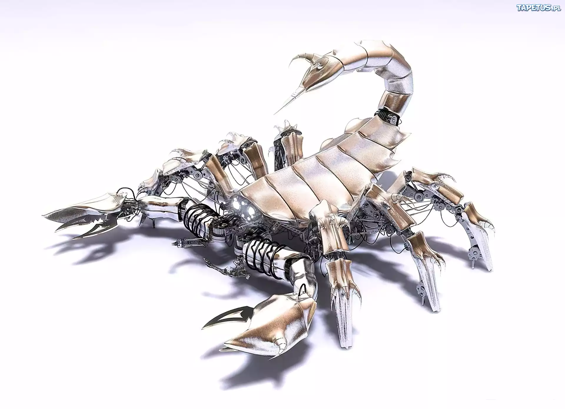 Skorpion, Robot