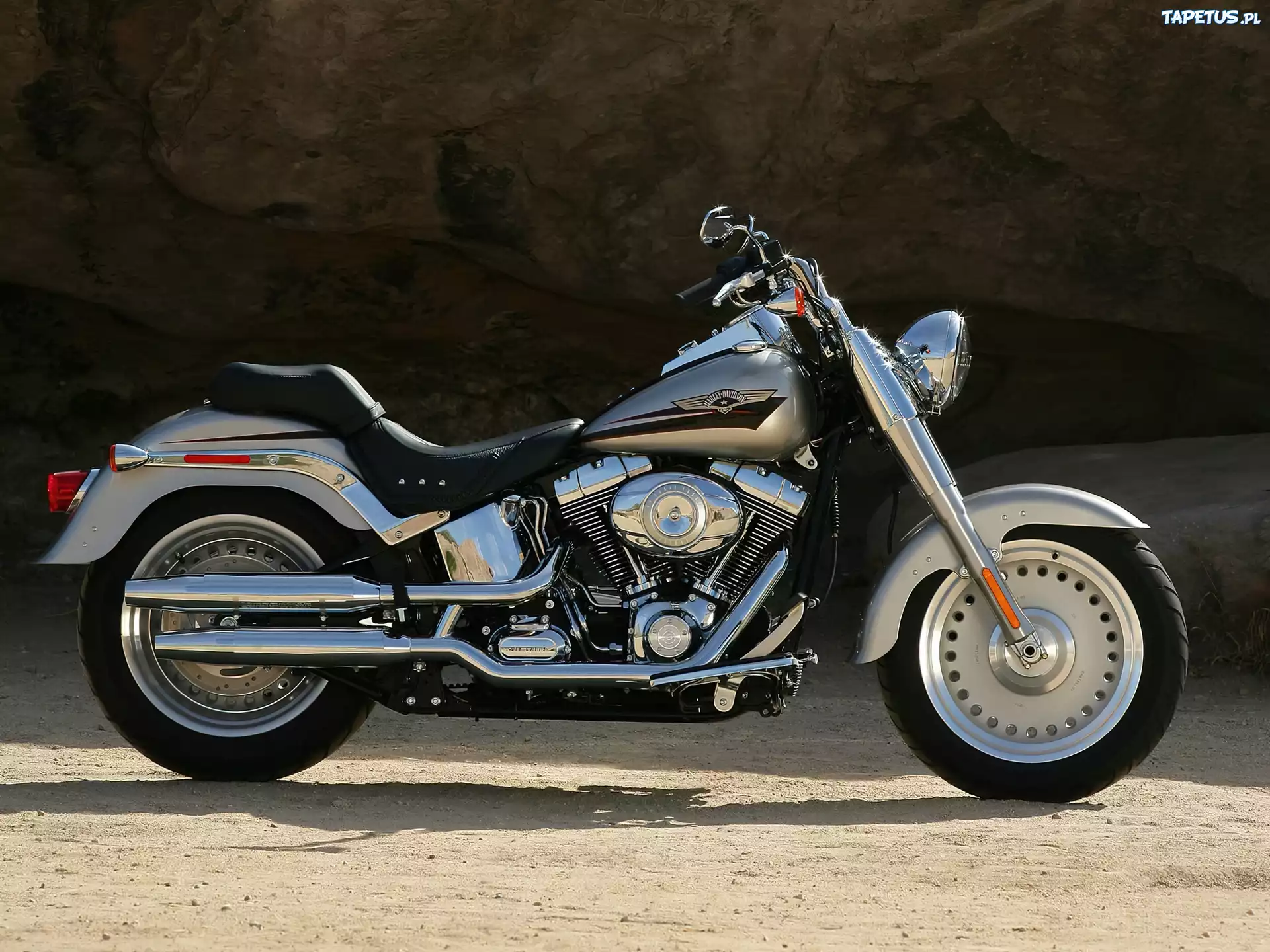 Harley-Davidson FLSTF Fat Boy