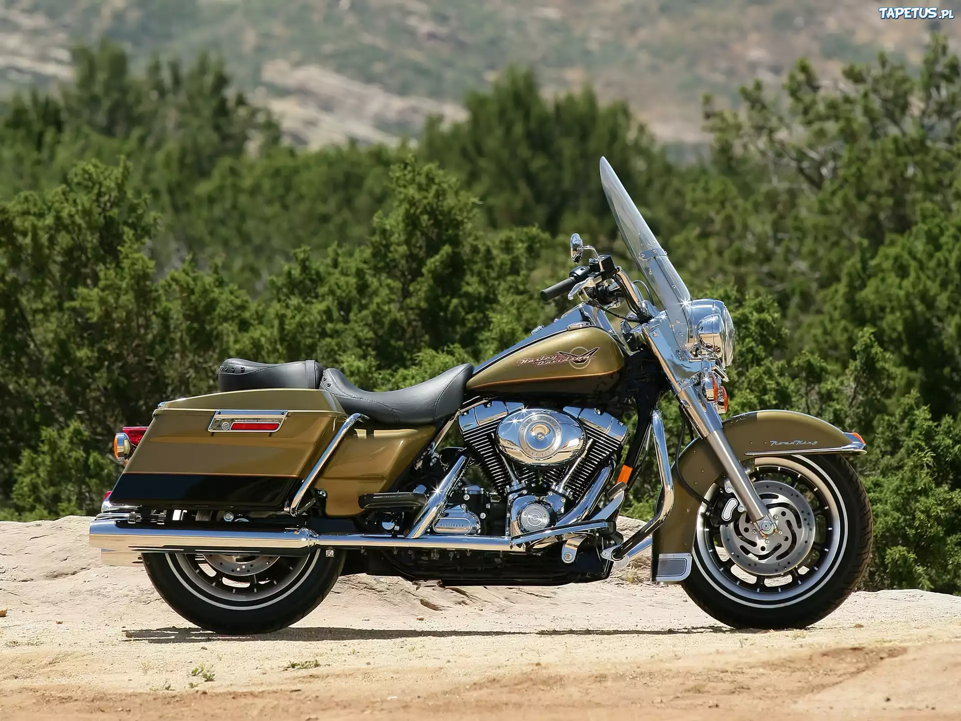 Harley Davidson FLHR Road King, Układ, Wydechowy