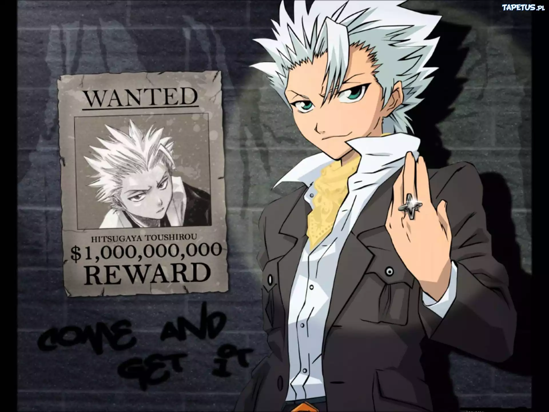 Hitsugaya, Nagroda, Postać