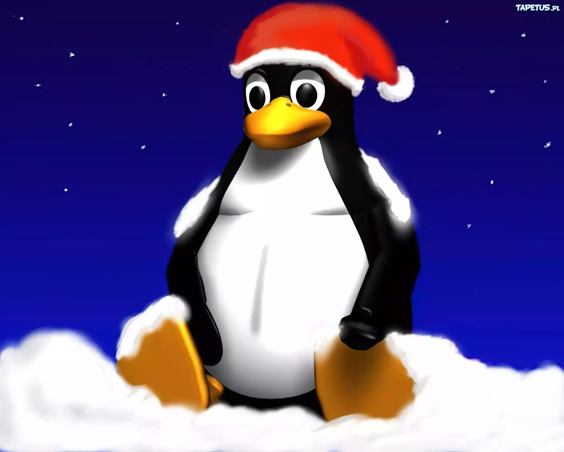 Pingwin, Linux, Święta