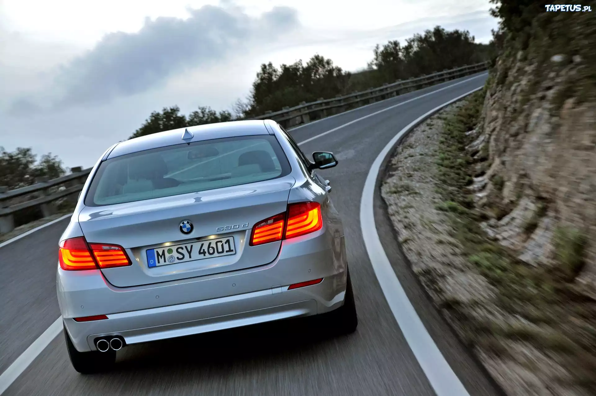 BMW, F10, 530d