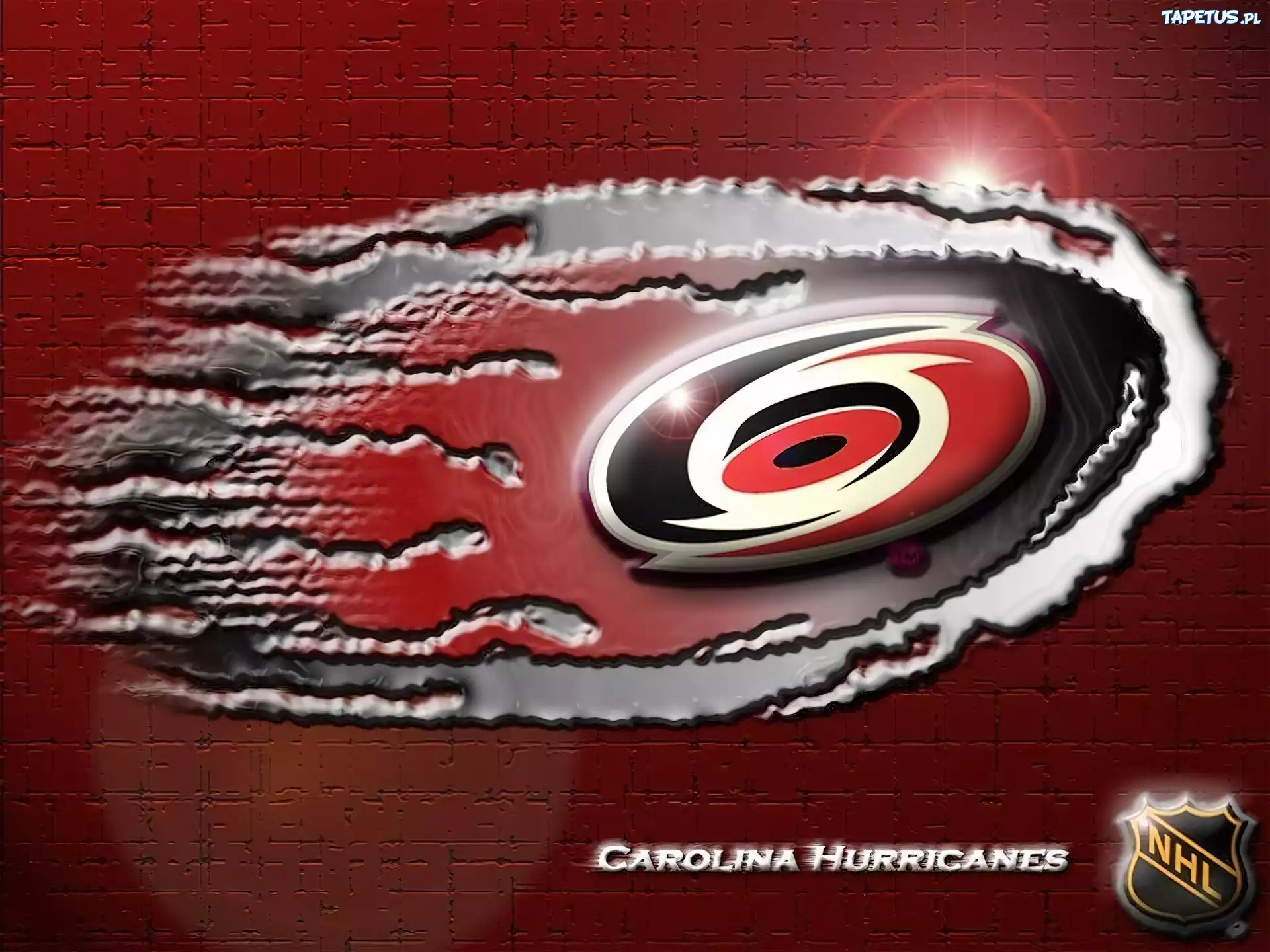 Logo, Drużyny, Hokejowej, NHL, Carolina Hurricanes