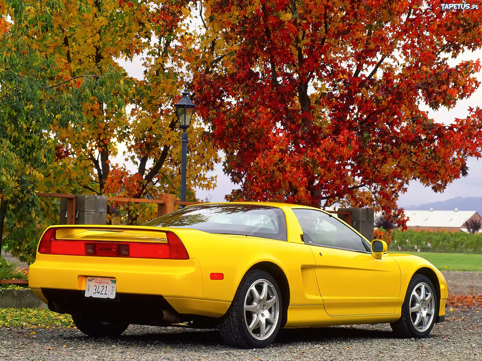 Żółta, Acura NSX, Jesień