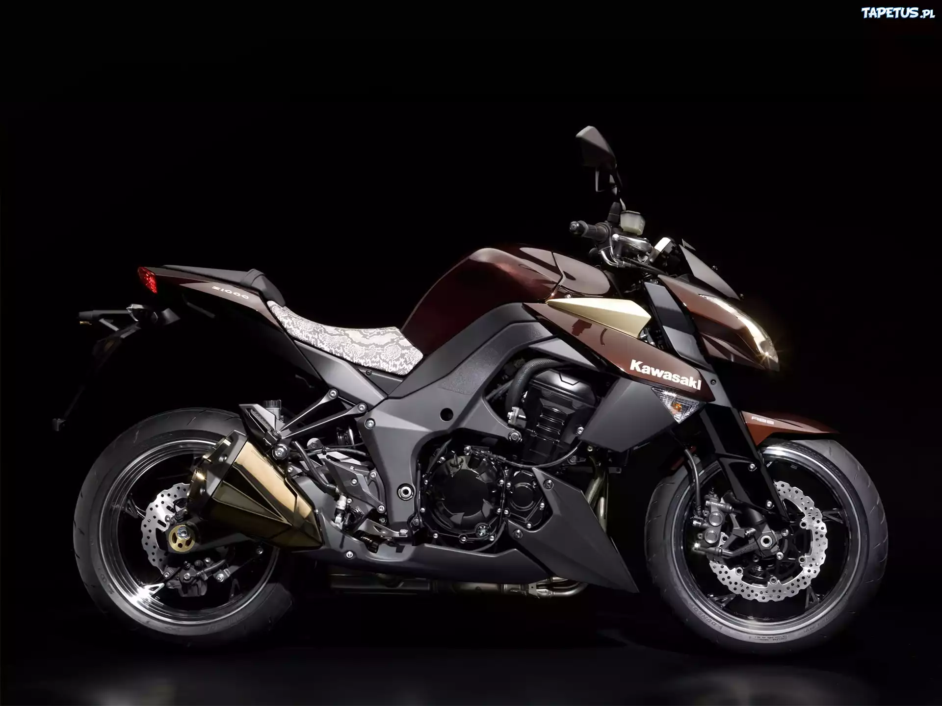 Kawasaki Z1000, Naked, Tłumik