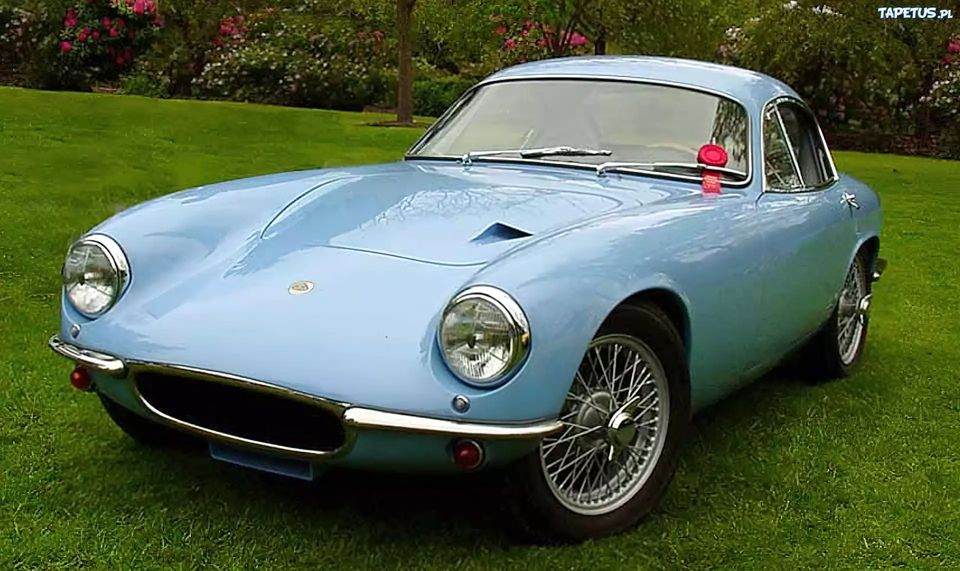 Lotus Elite, Zabytkowy