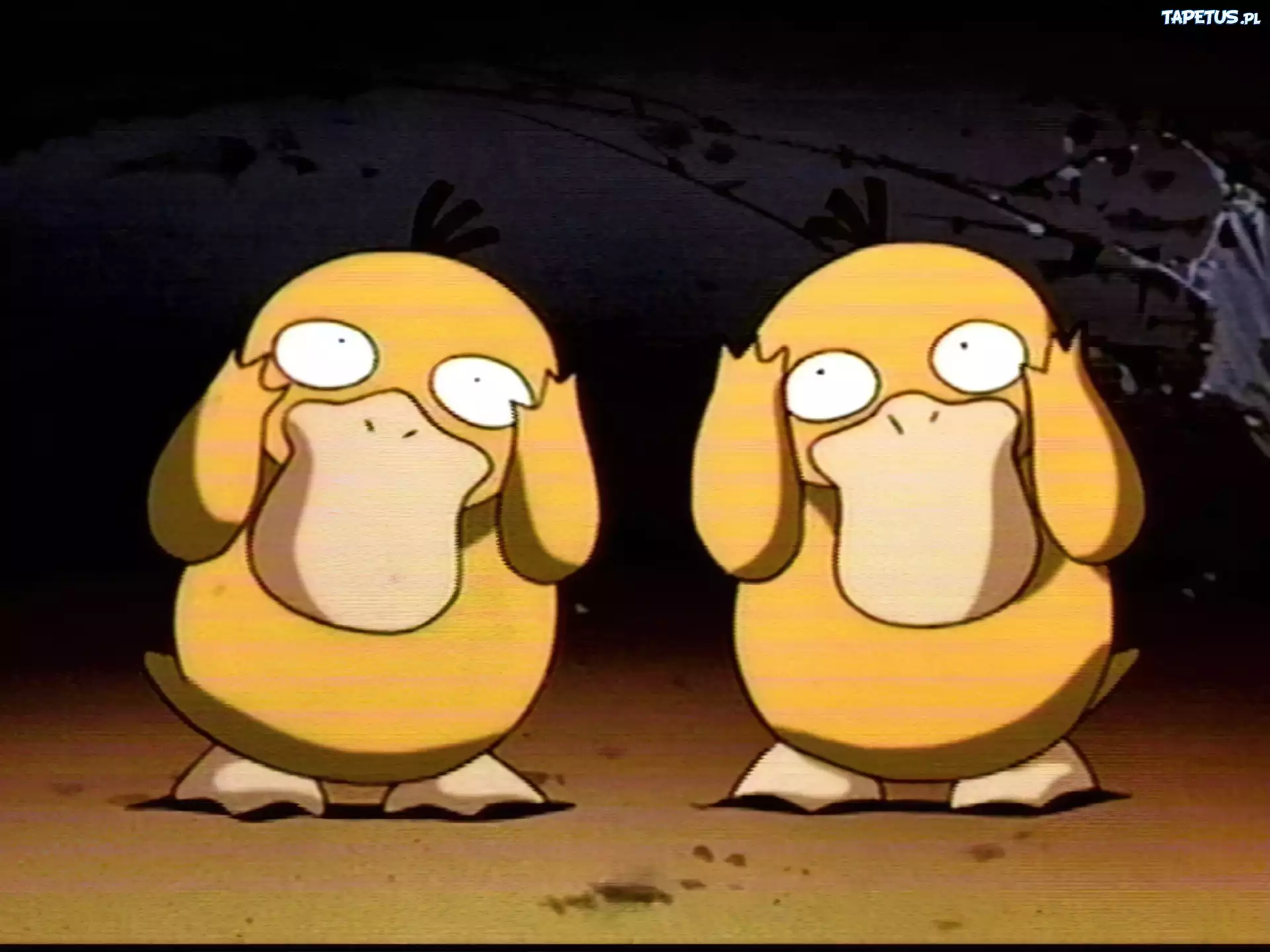 Psyduck, Para