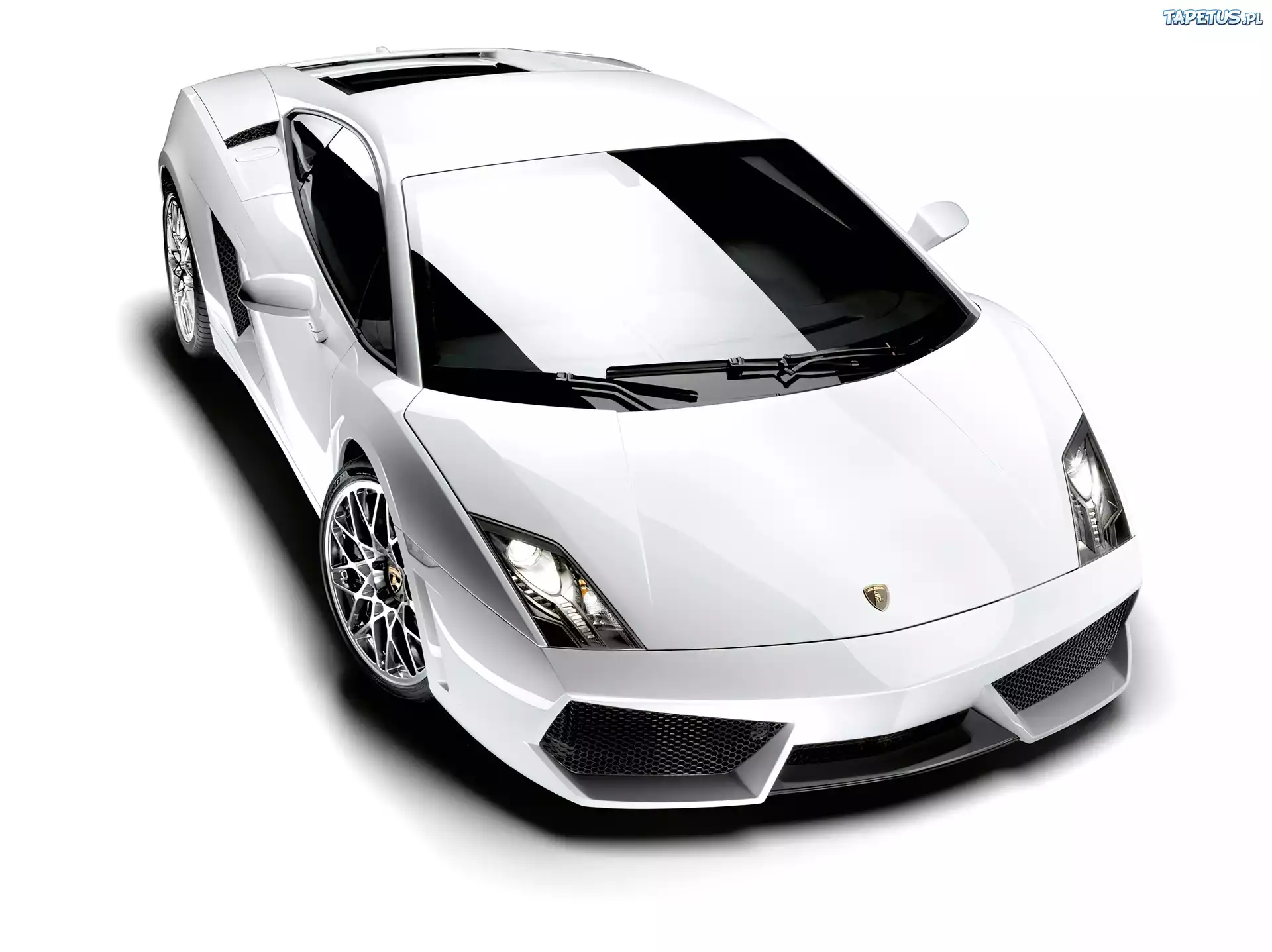 Lamborghini Gallardo