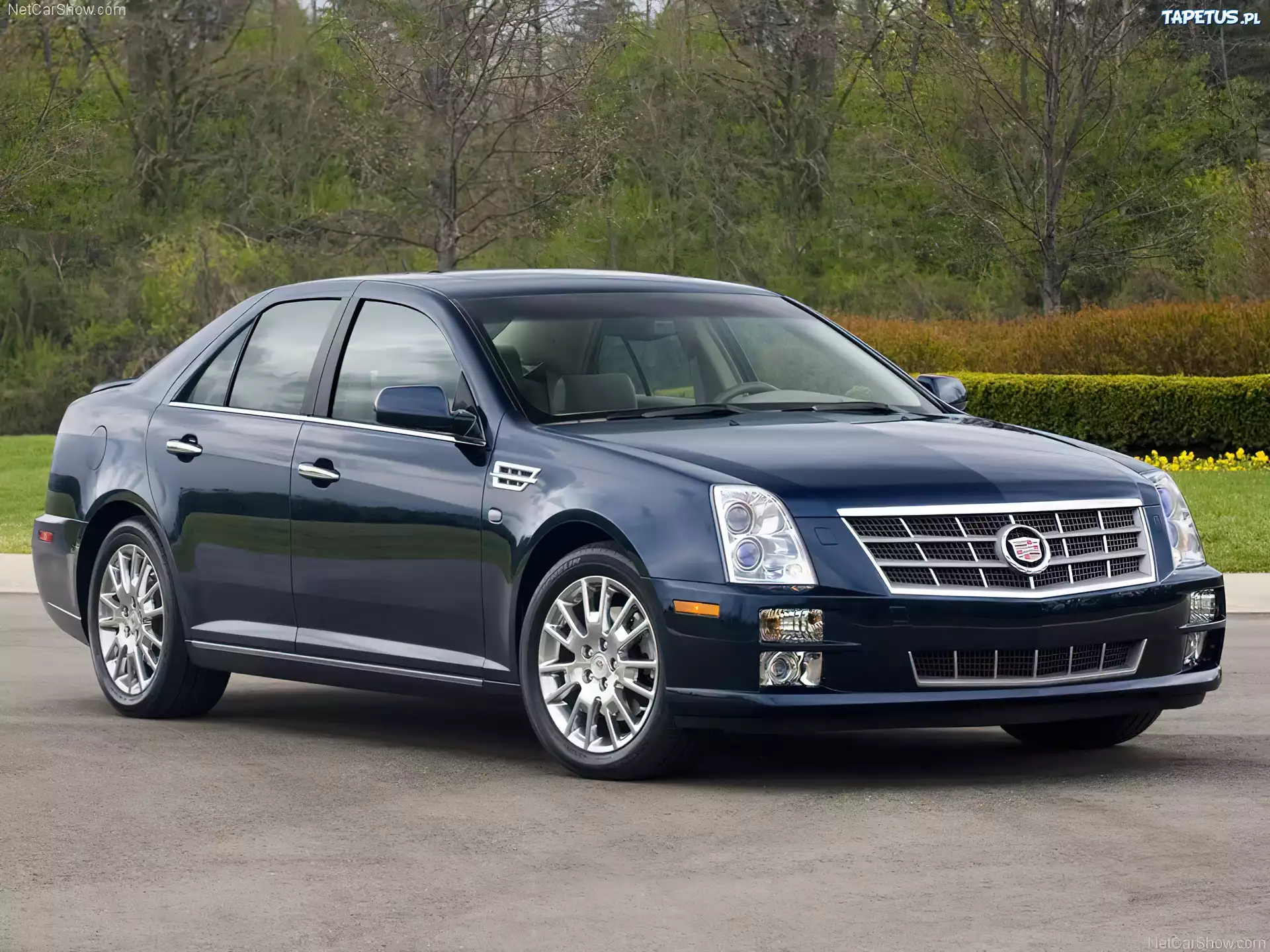 Niebieski, Cadillac STS, Zderzak, Przód